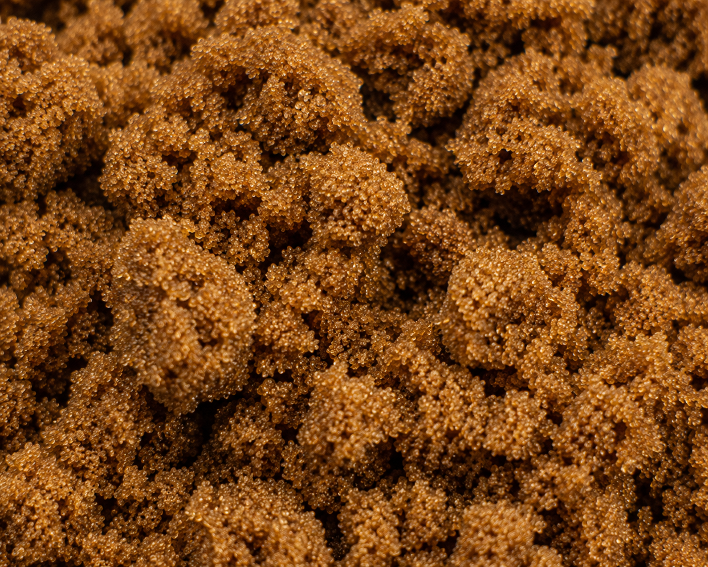 Brown Sugar, Dark