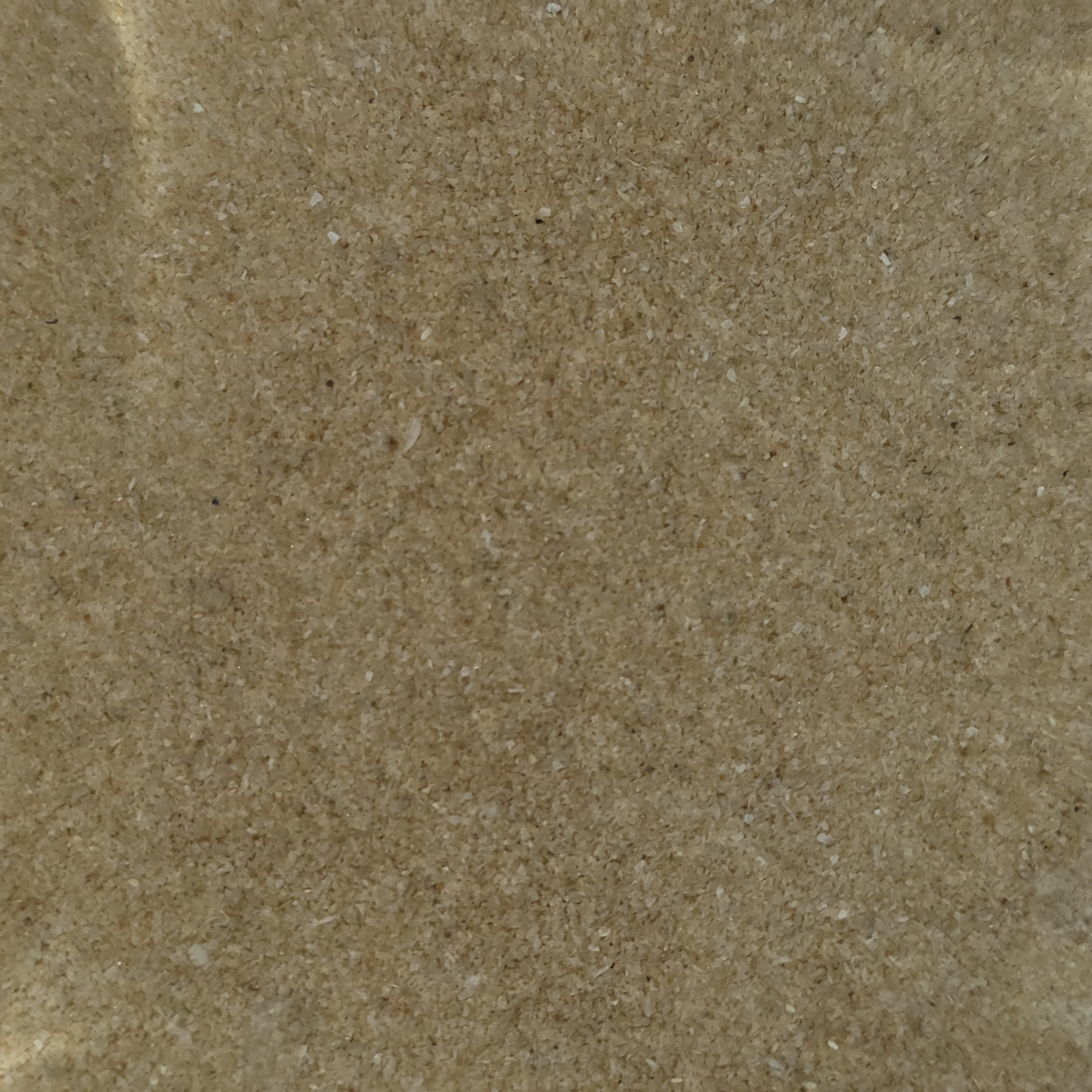 Onion, Granulated