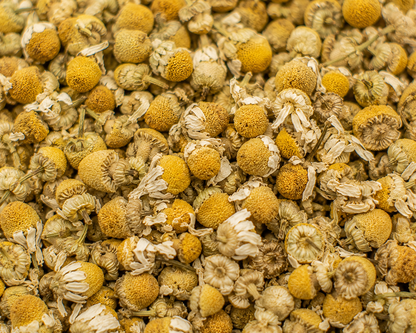 Chamomile Flowers, Dried