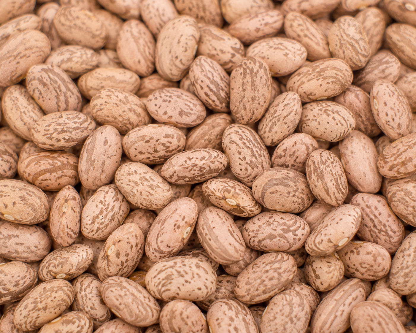 Pinto Beans, Dry