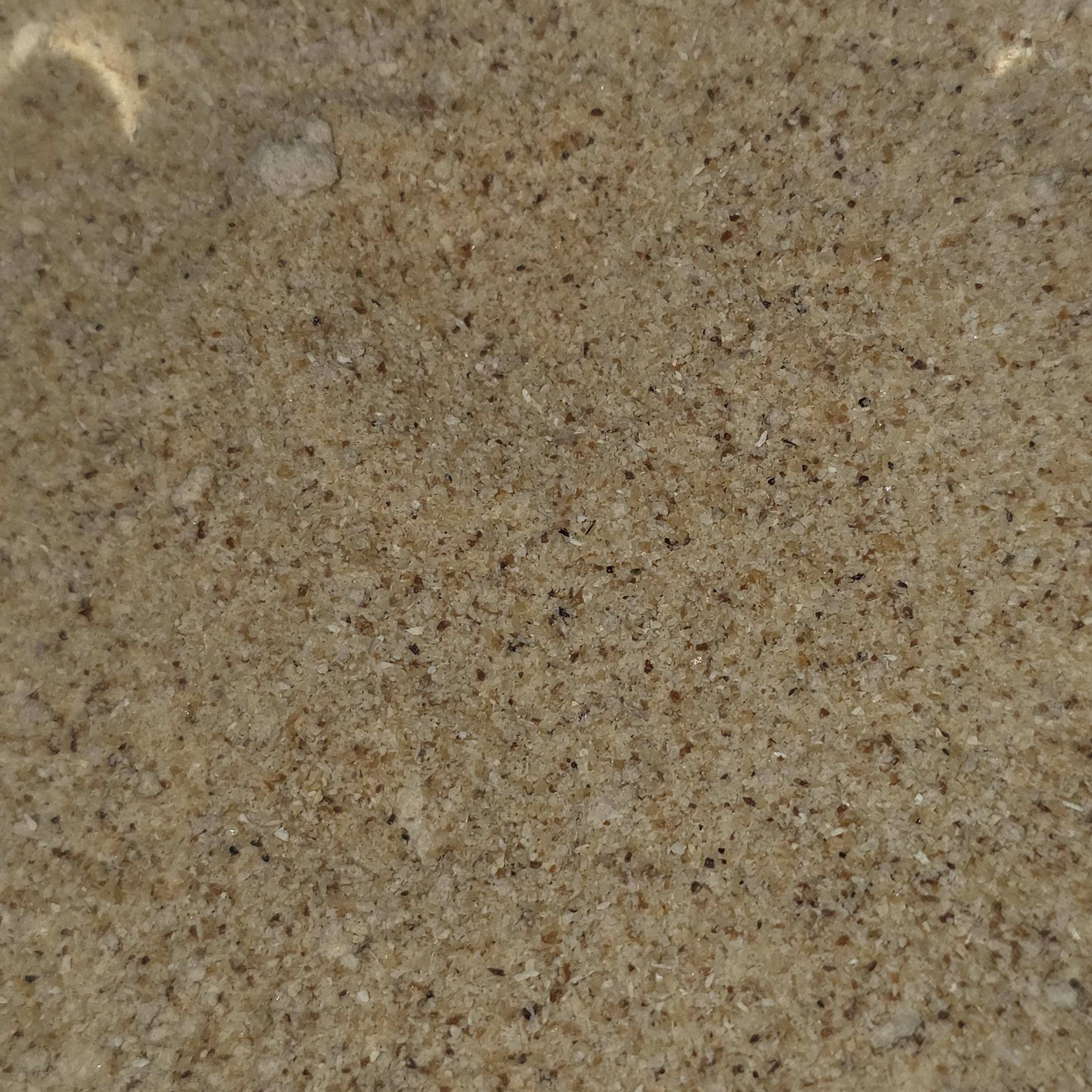 Garlic, Granulated