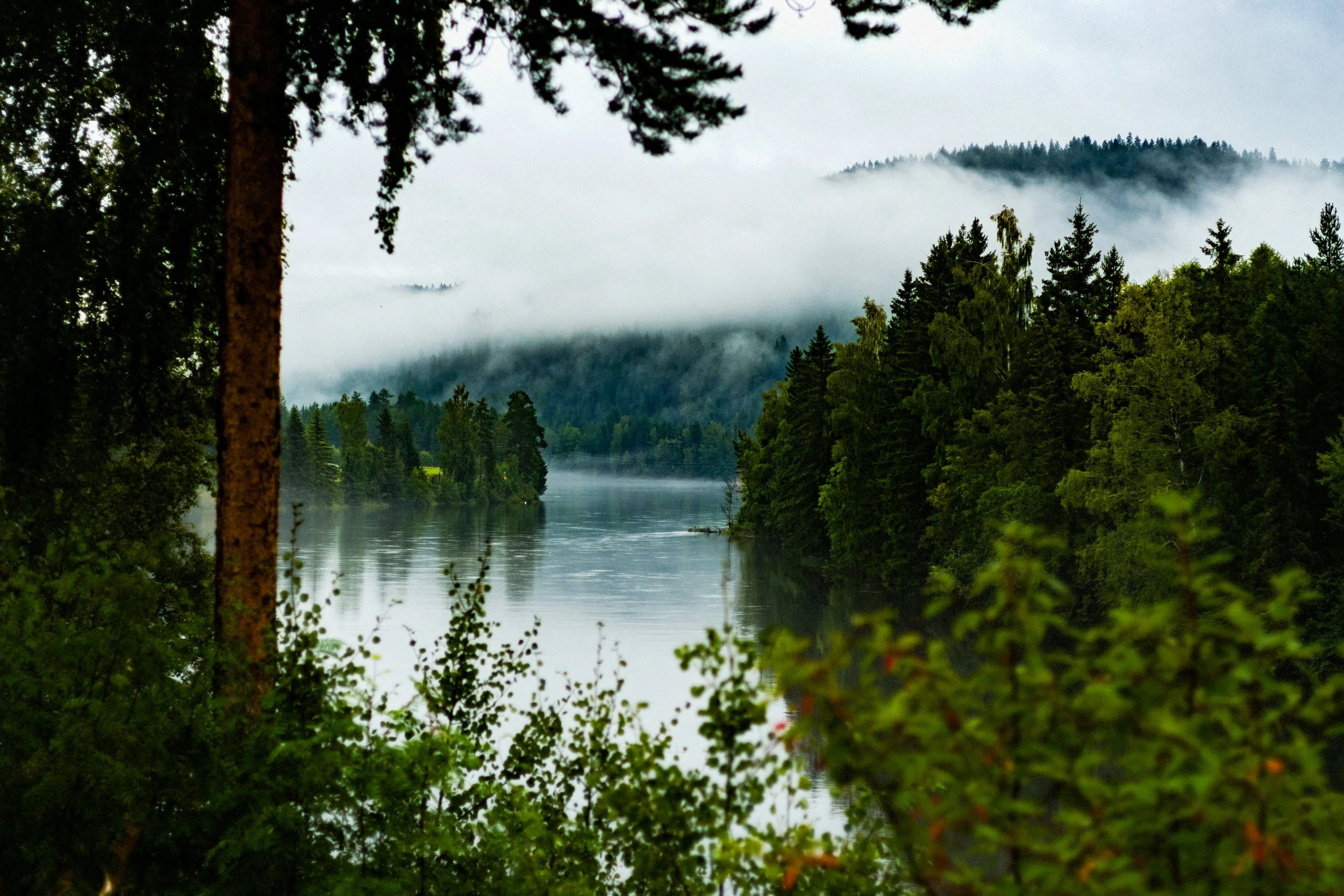 L1006634.JPG