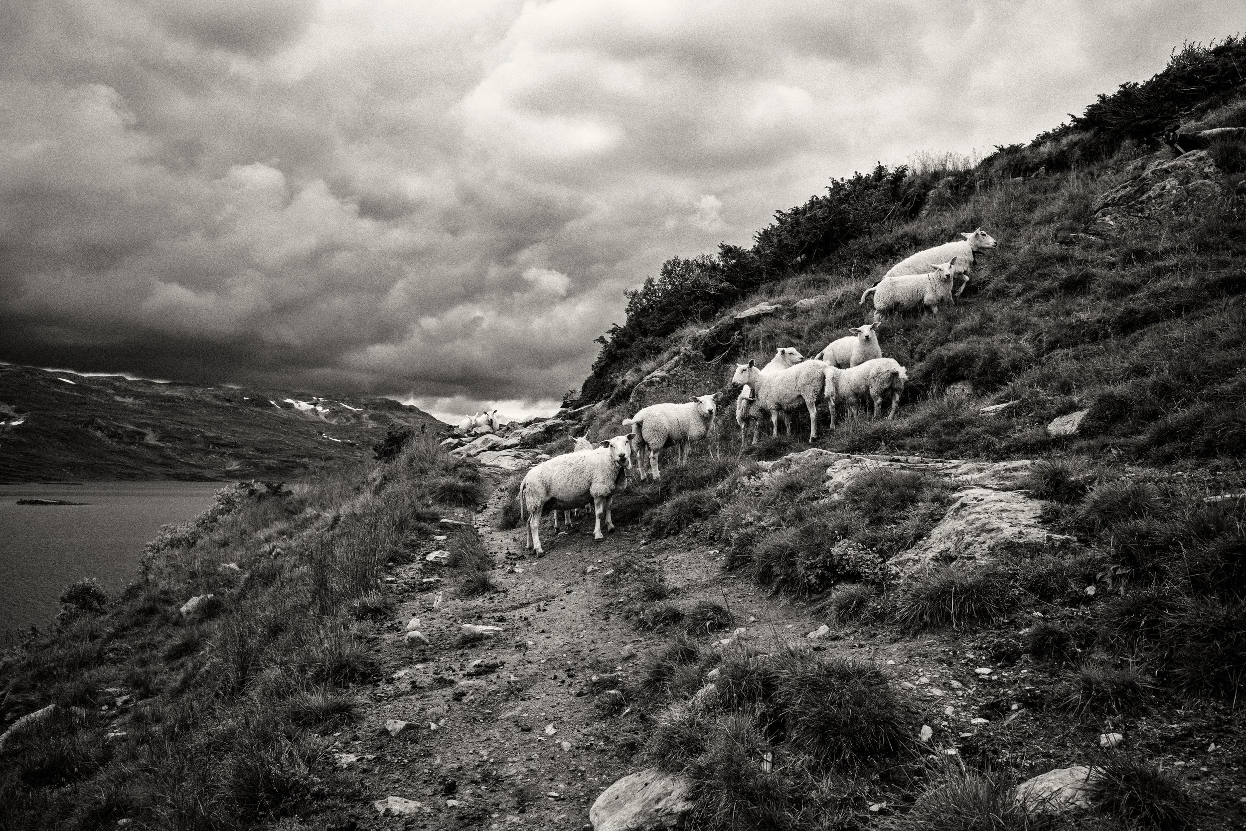 R0001539-bw.JPG