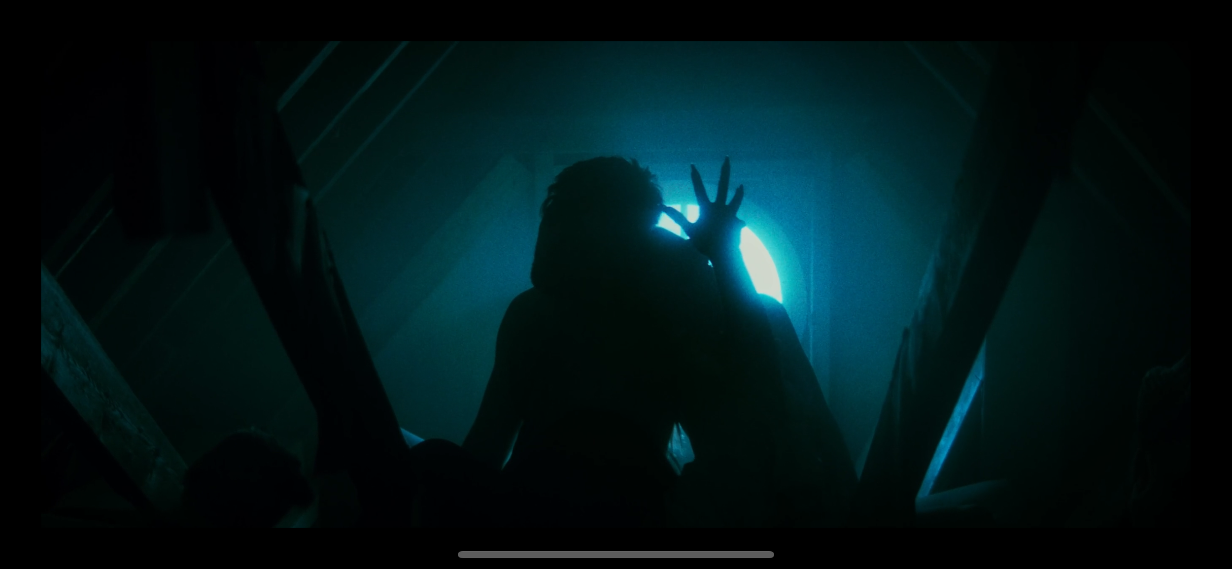 Benjamin-hamill-director-of-photogrephy-the-hatch-anamorphic-cinematography.PNG