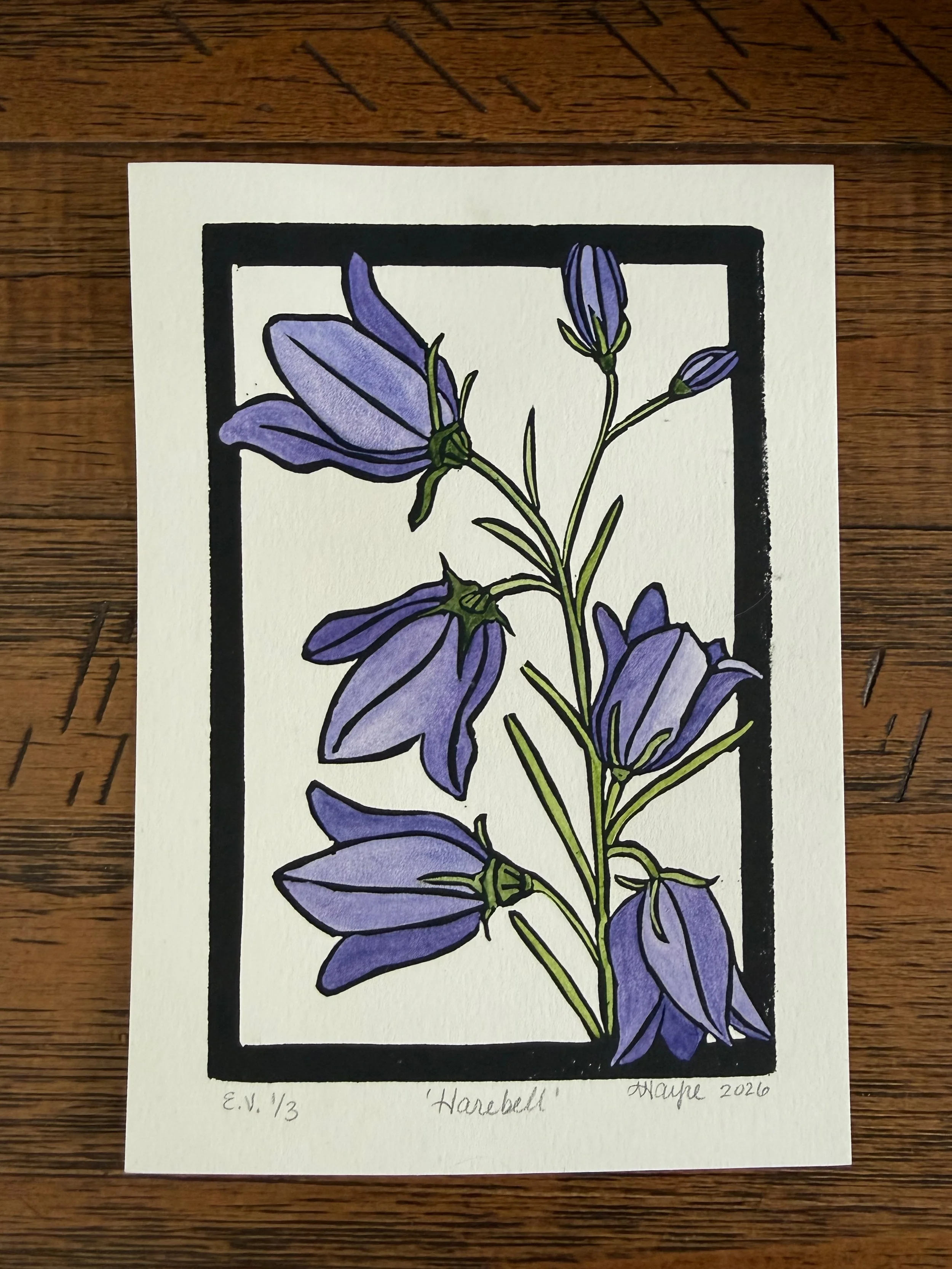 Harebell watercolor on wood.jpeg