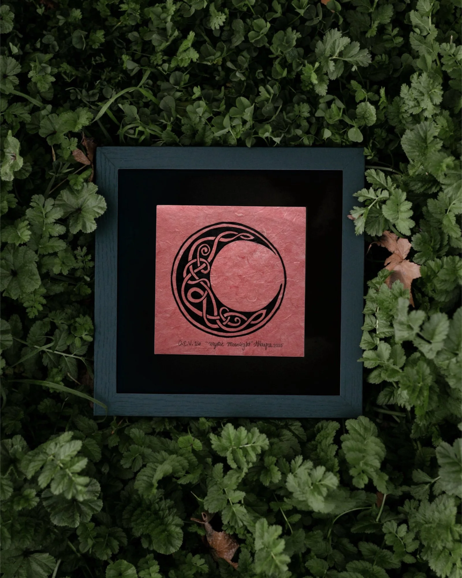 Mystic Moonlight Framed Coral.jpg