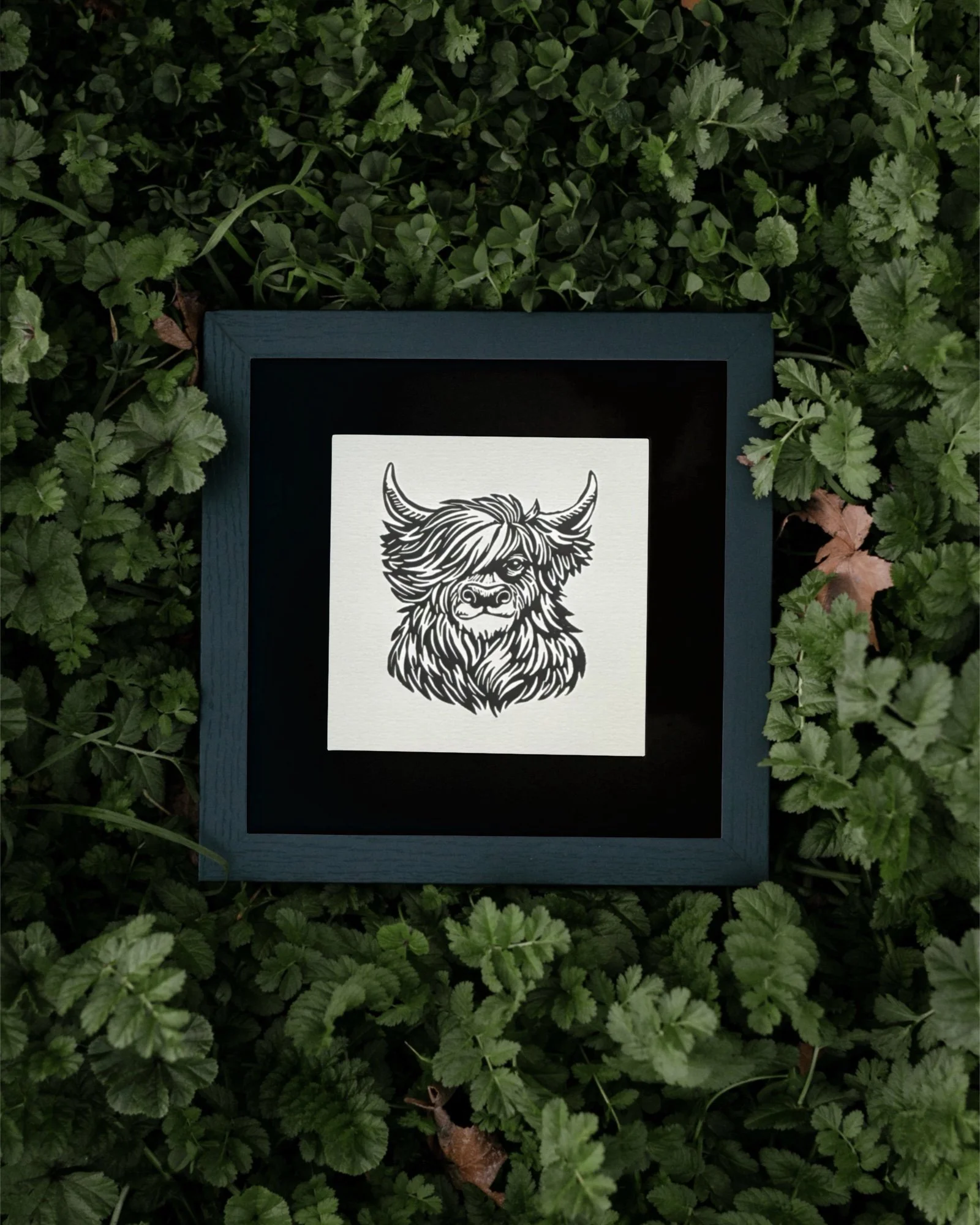 Highland Cow Framed.jpg