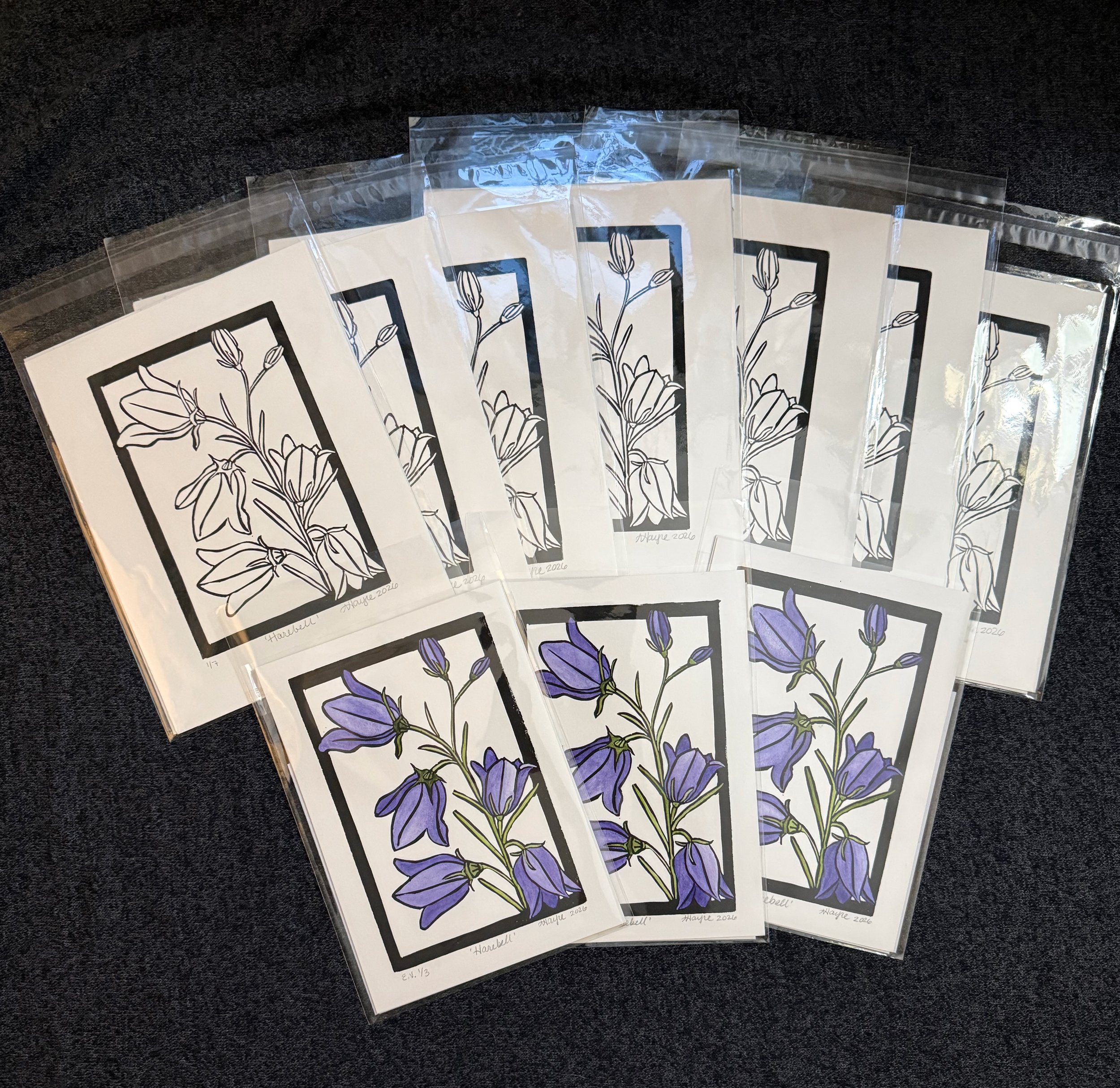 Harebell all 10 packaged.jpeg