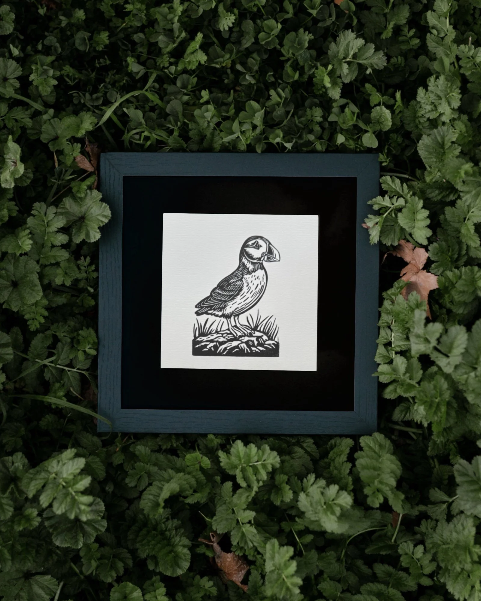 Cliffside Puffin Framed.jpg