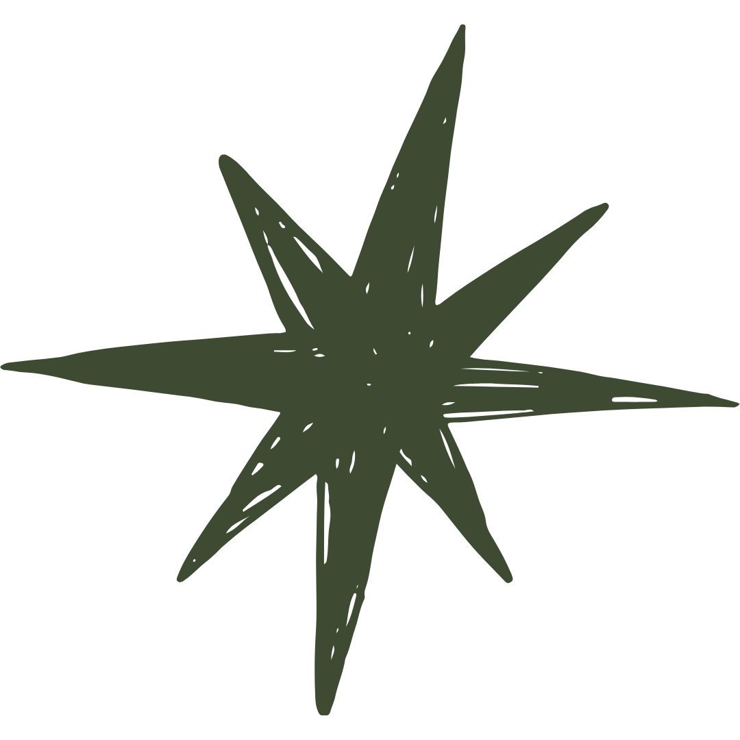 A green, stylized, eight-pointed star or flower with a simple, hand-drawn appearance.