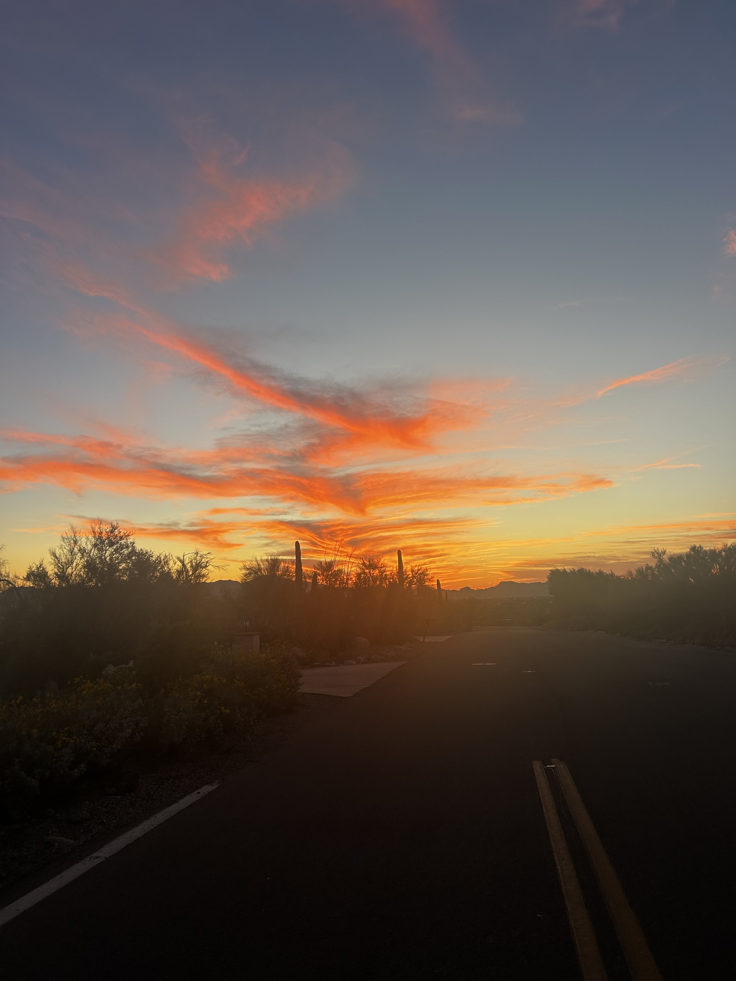 IMG_1531.jpeg