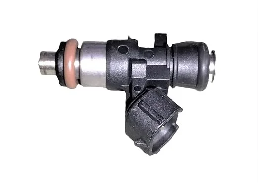 61ZwOo92XgL._SX522_.jpg
