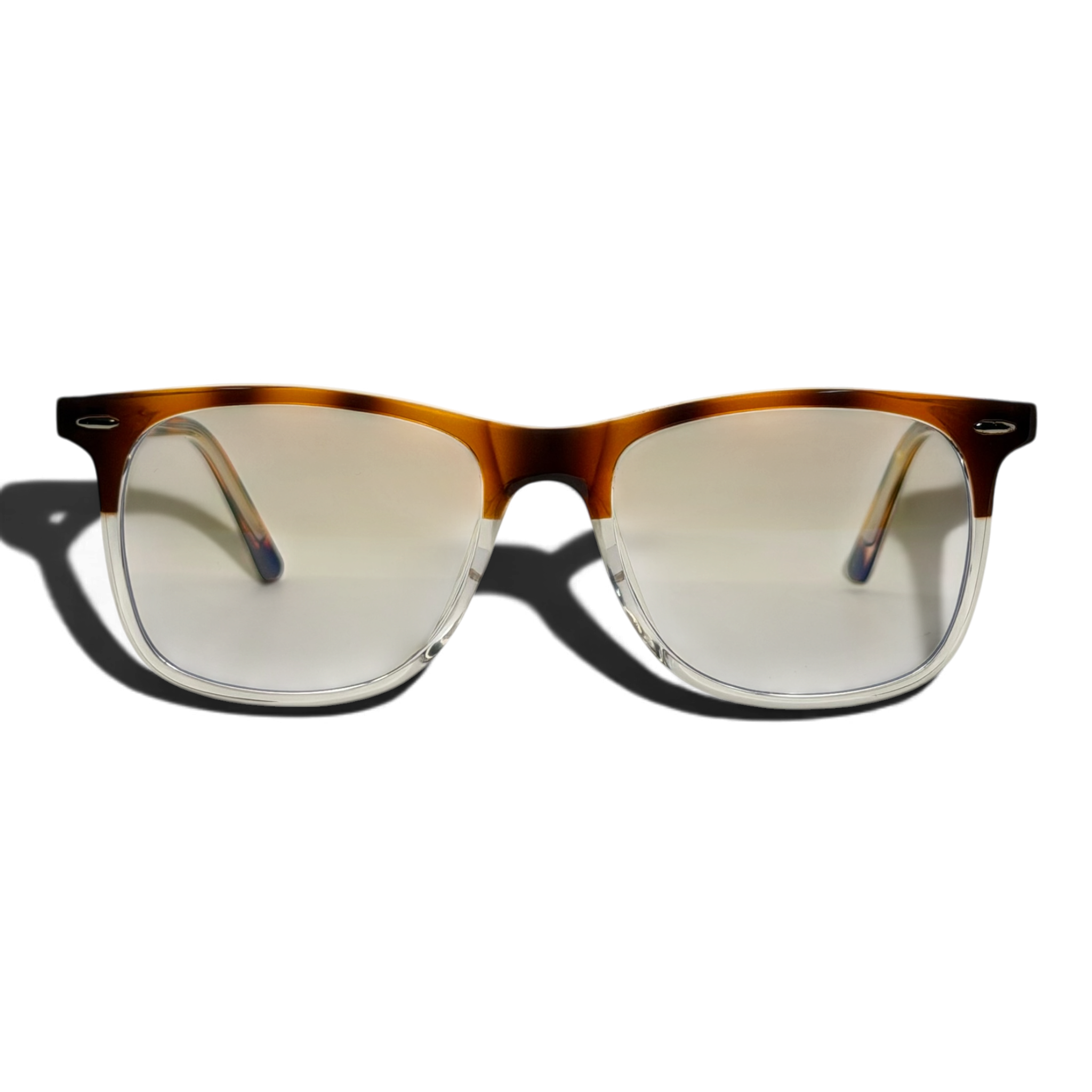 Zeno Tortoise Transparent Front.png
