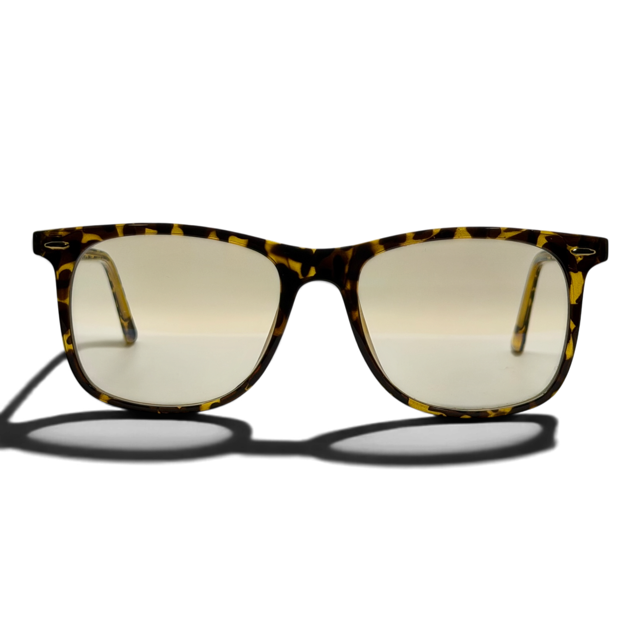 Zeno Tortoise Front.png