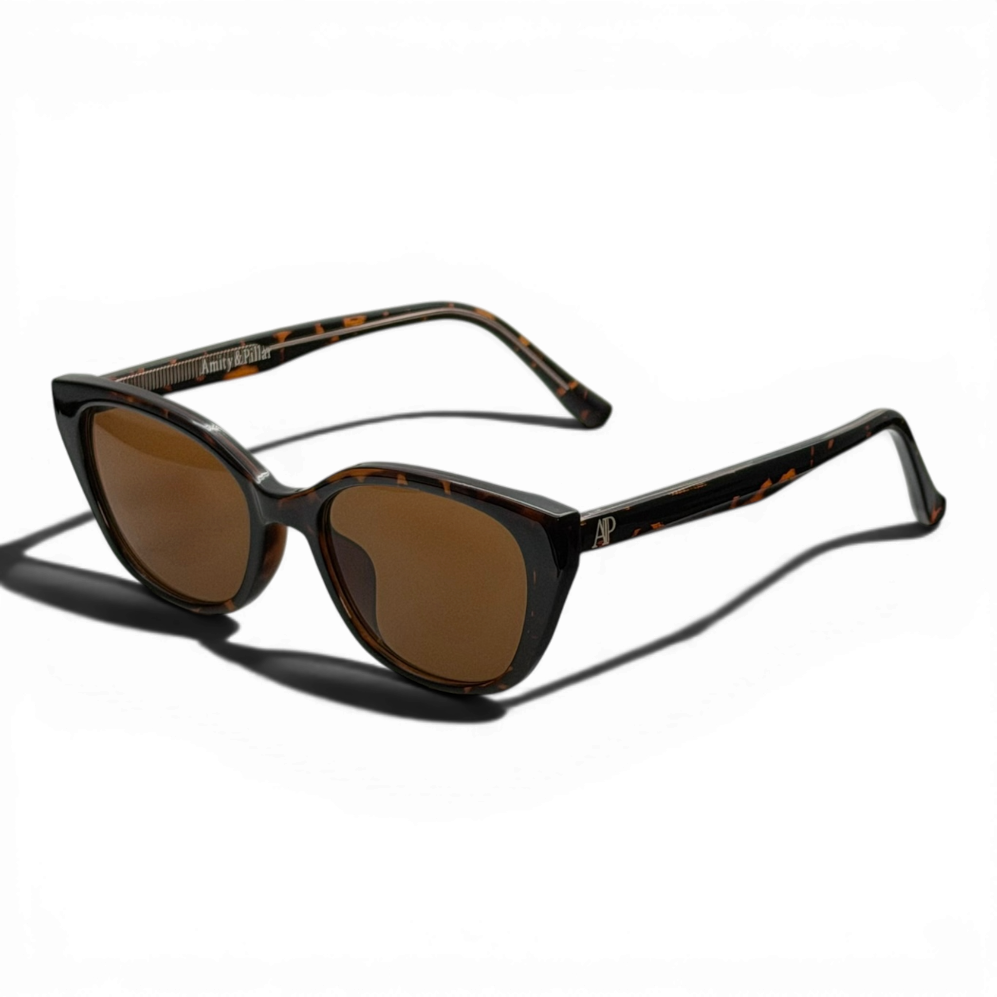 Larissa tortoise transparent web.png