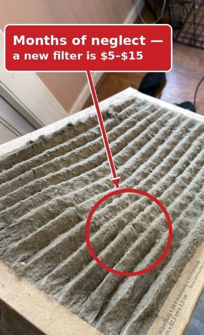 Pleated furnace filter matted shut with dust after months of neglect.