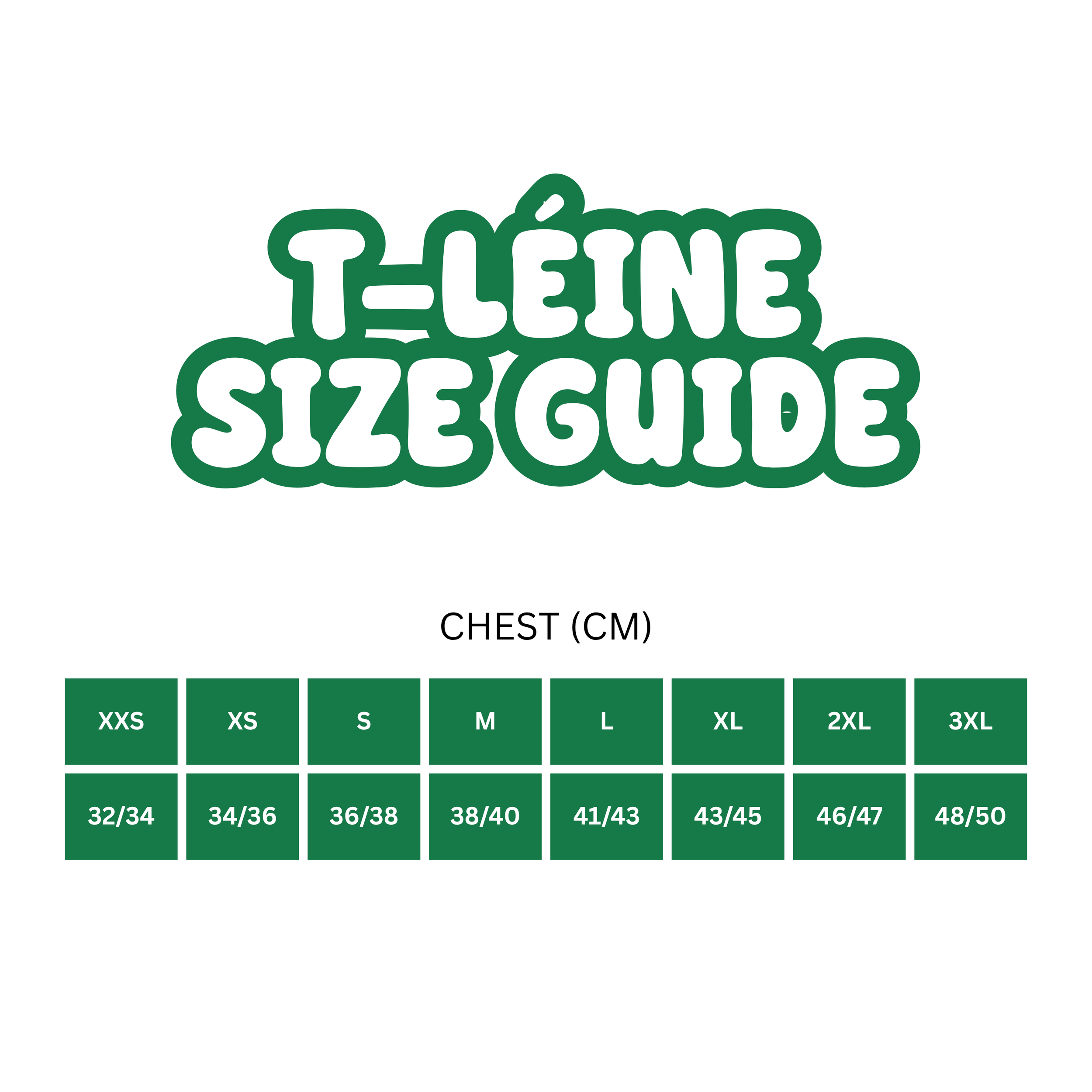Copy of SLÁN Artwork (2).png