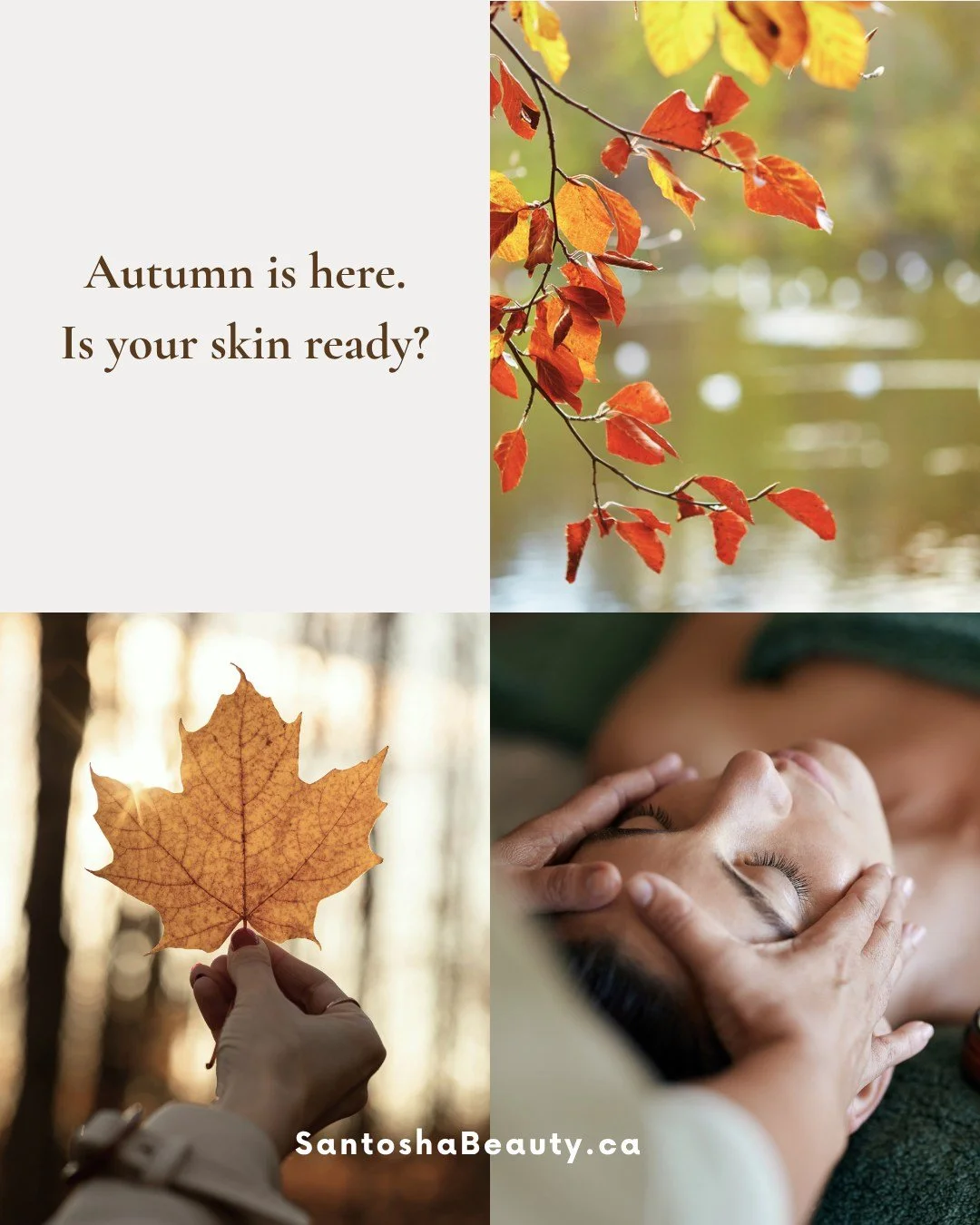 The season changed. So has your skin.

Step into fall with skin that's ready for it from a total skin refresh, The Signature Skin Ritual. Right now this hour of skin bliss is 20% off, but appointments are limited and our cozy season books up quickly.