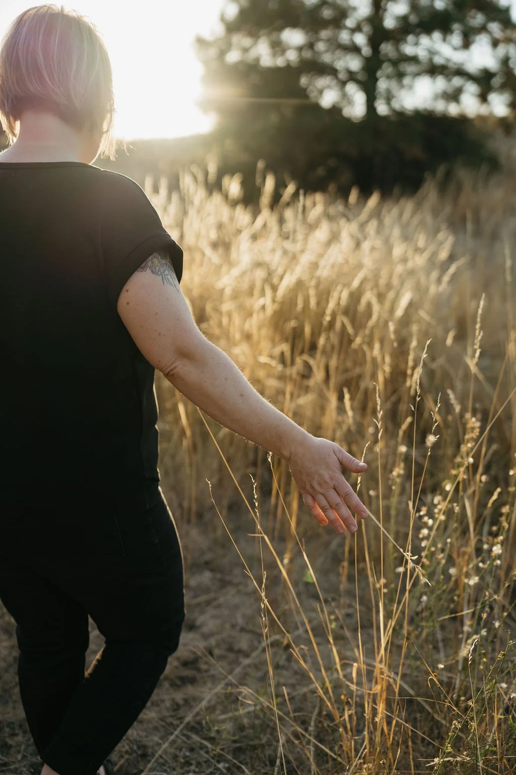 A person with short hair wearing a black shirt and black pants walking through a field of tall, dry grass during sunset, with the sun behind them.