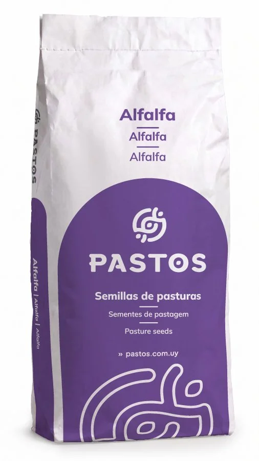Alfalfa