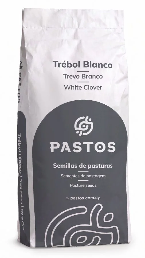 Trébol Blanco