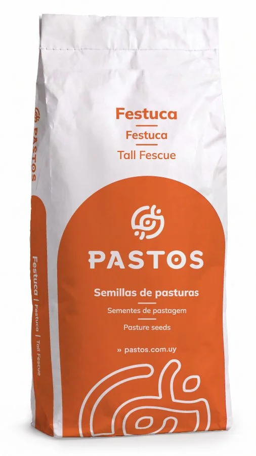 Festuca
