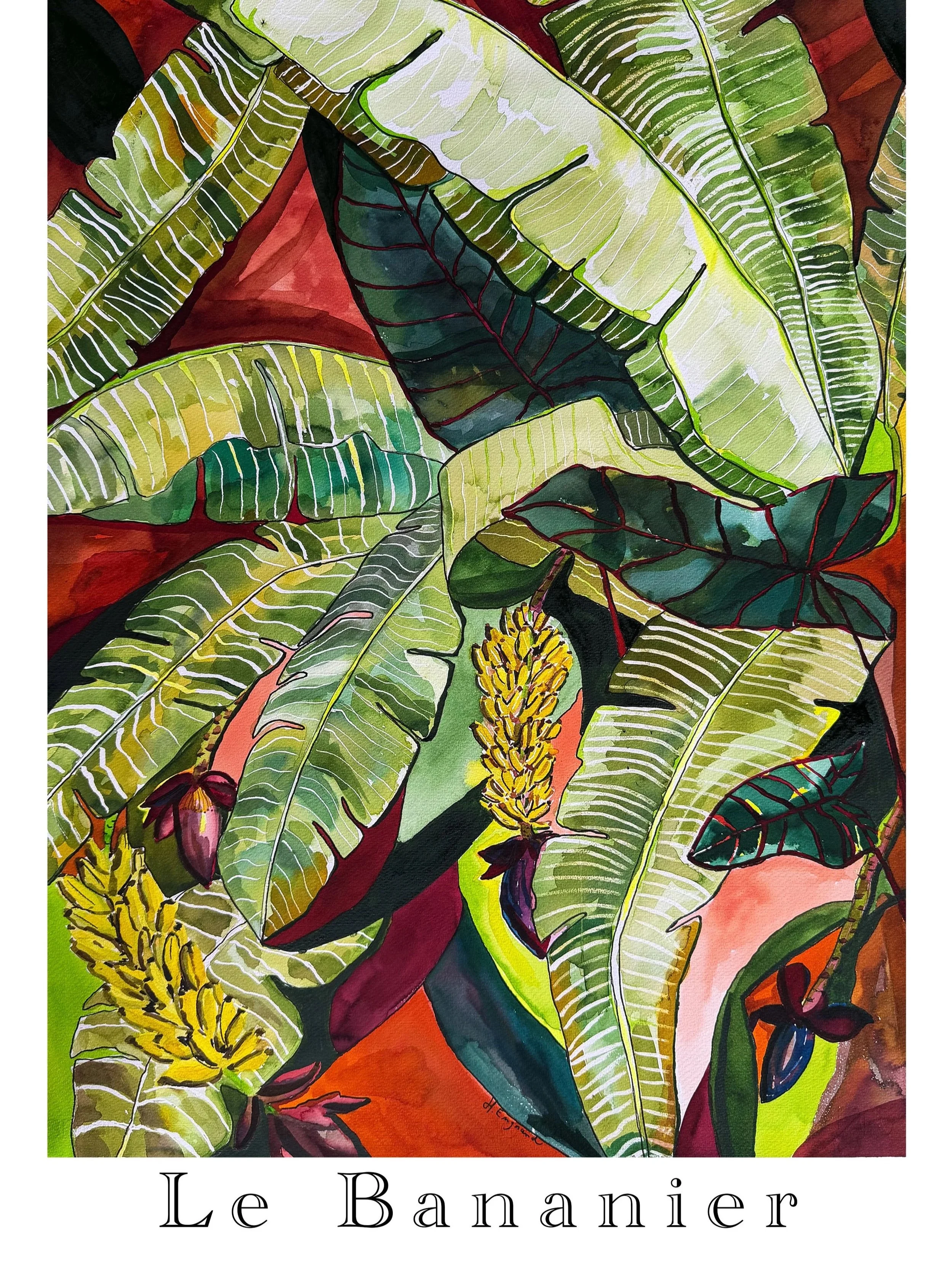 A watercolour painting of a banana tree with ripe yellow bananas, green leaves against a dark red background. The painting features giant banana leafs and vibrant colours, with the title "Le Bananier" at the bottom.