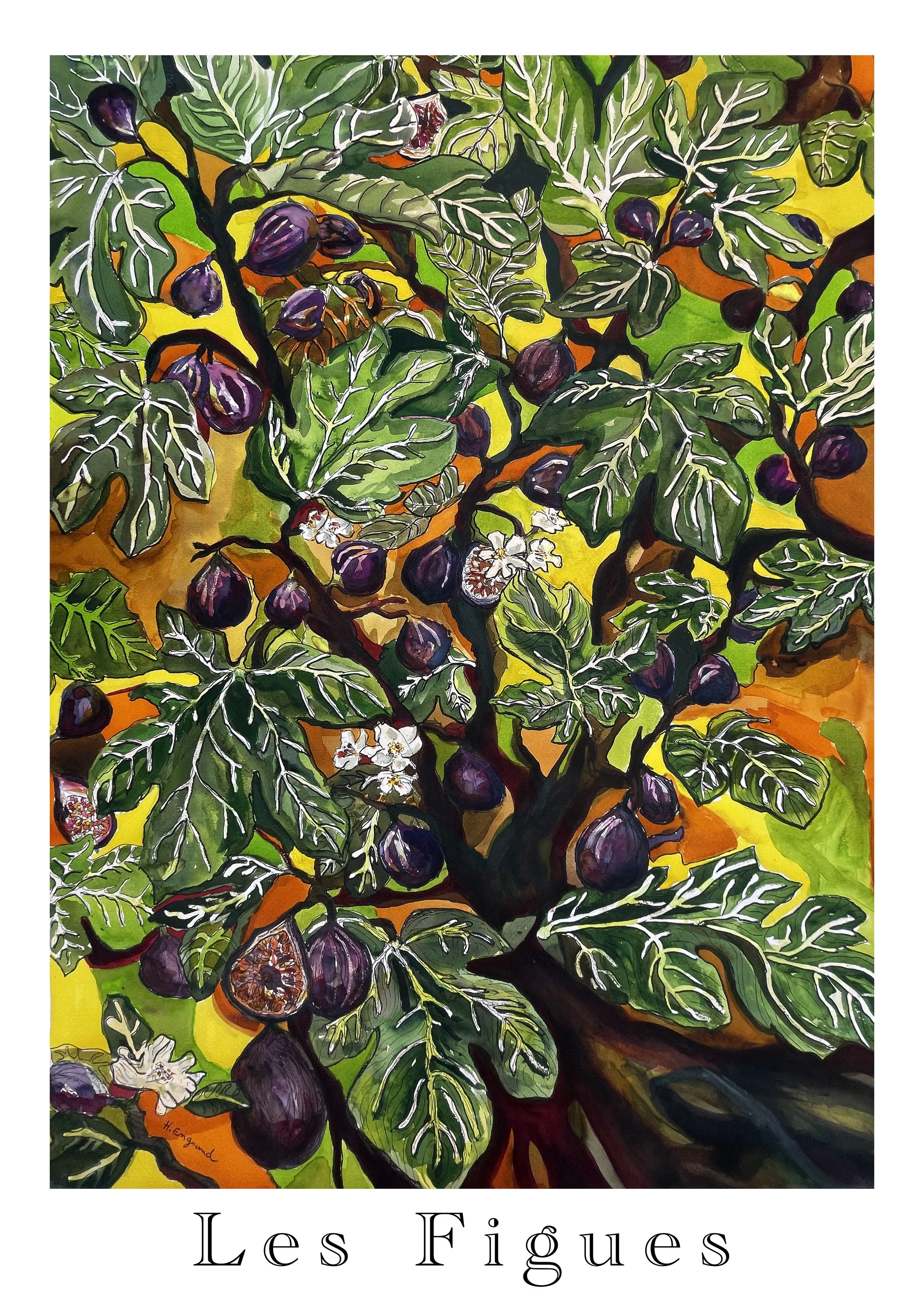 les figues .jpg