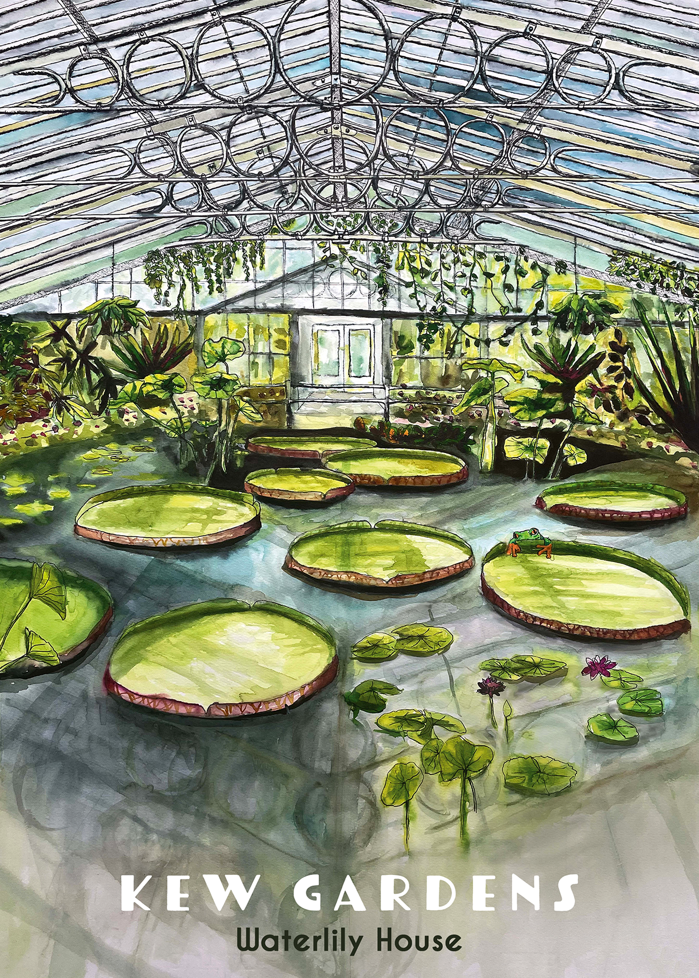 Illustration of the interior of a greenhouse filled with water lilies, water, and greenery, with the text 'Key West KEW Gardens Waterlily House' at the bottom.