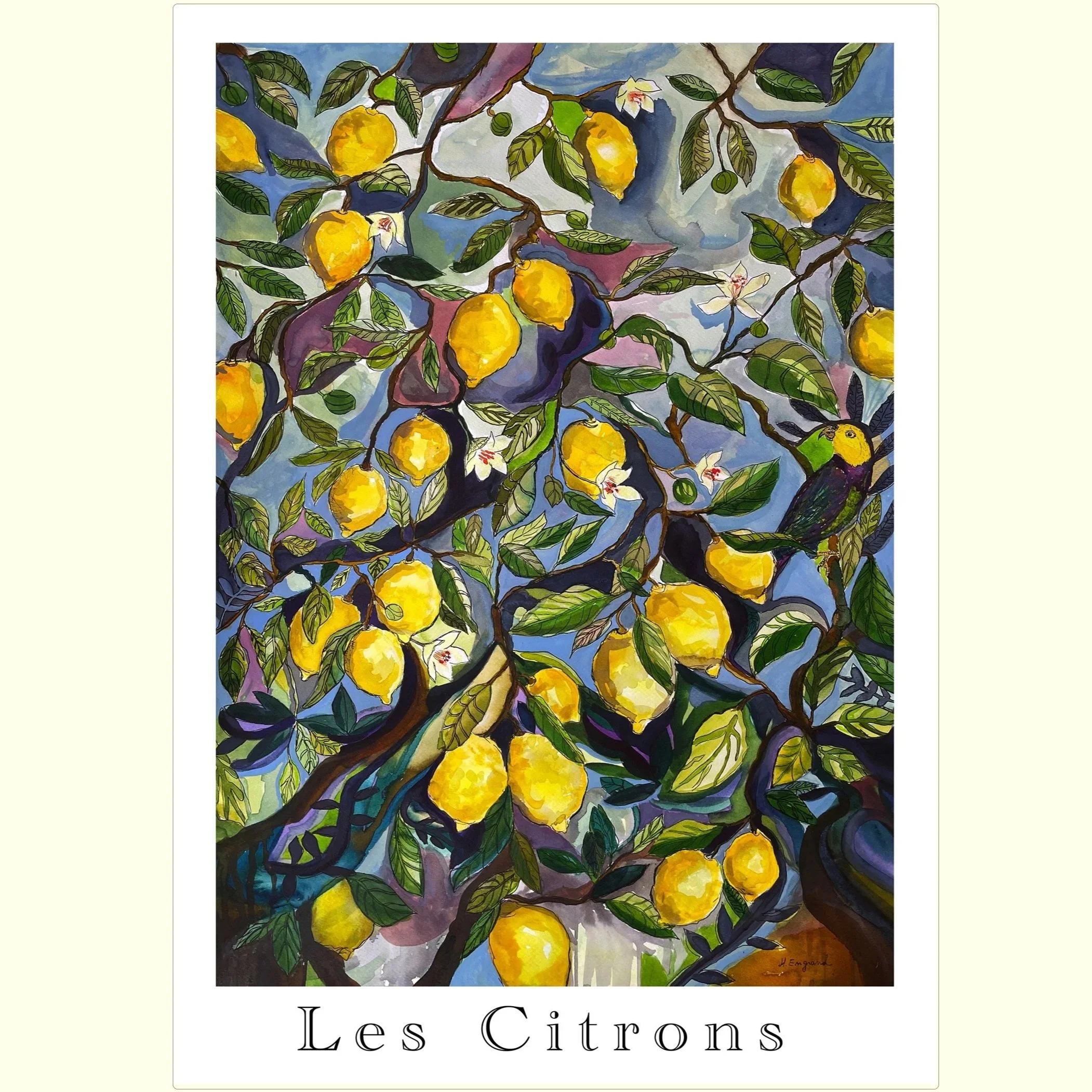 citrons+site2_.jpg