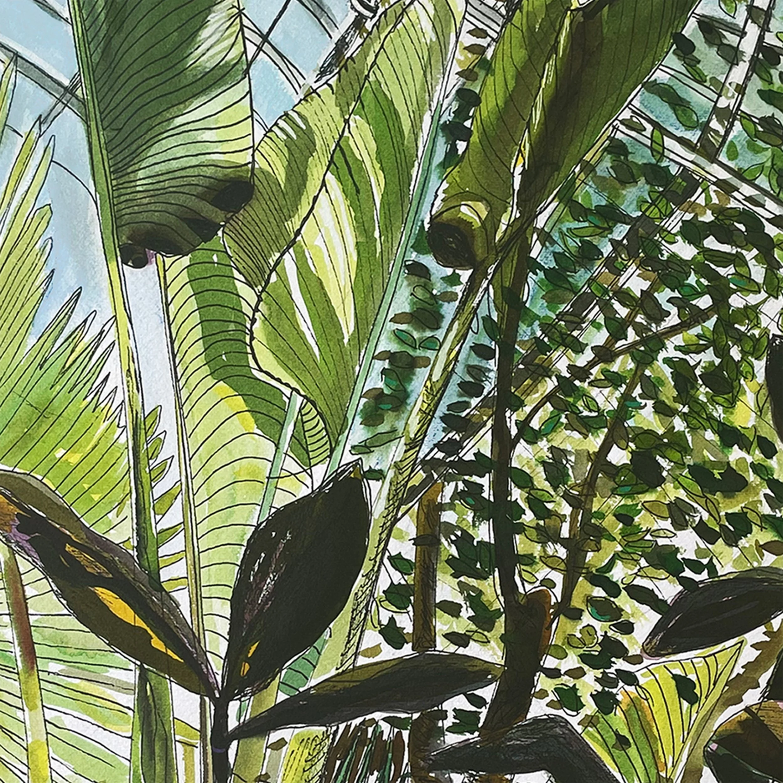 A close-up watercolor painting of lush green tropical leaves with black veins and outlines.