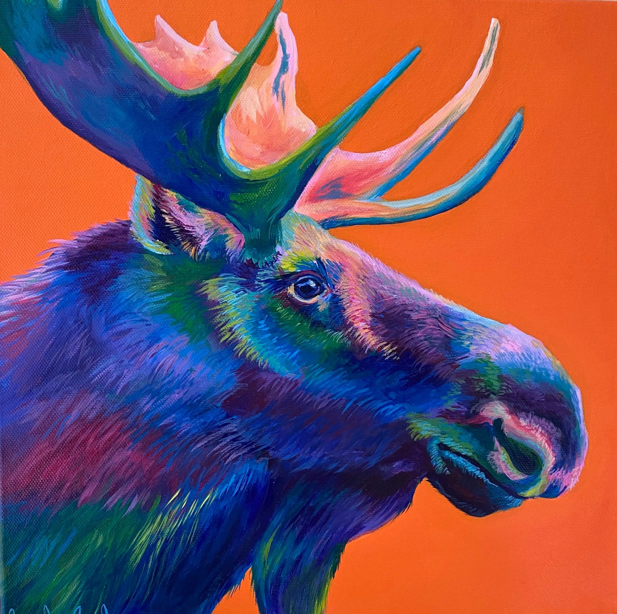 Moose, Acrylic on Canvas, 12x12