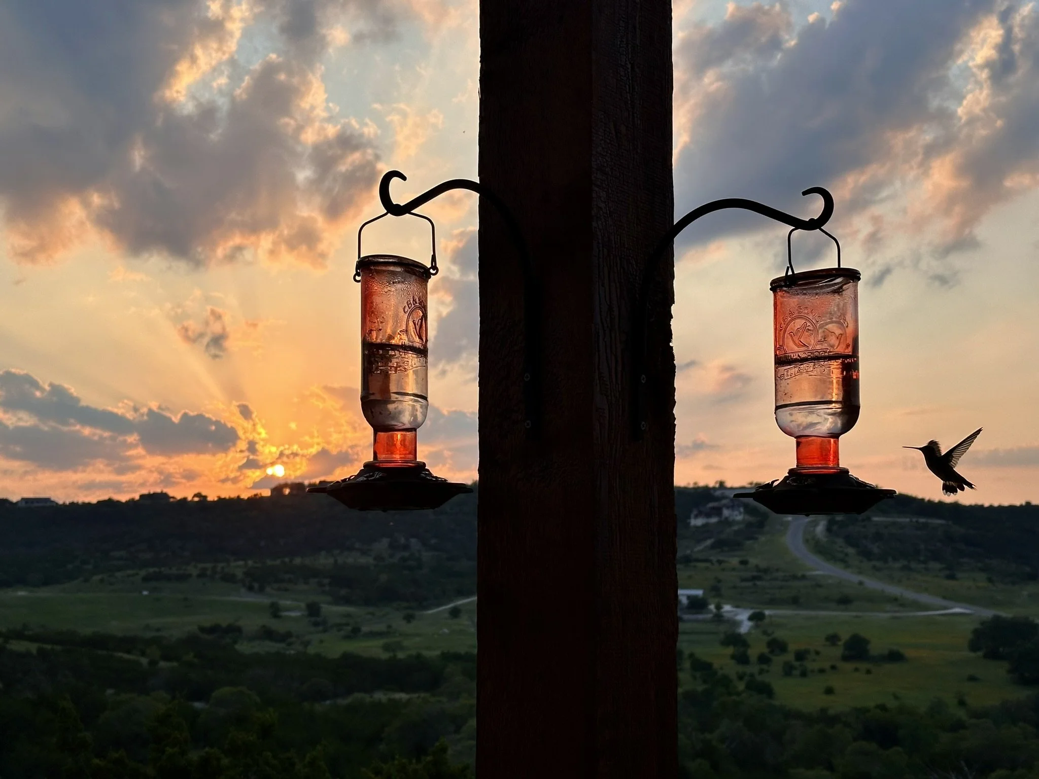 Texas Hill Country sunset with hummingbirds