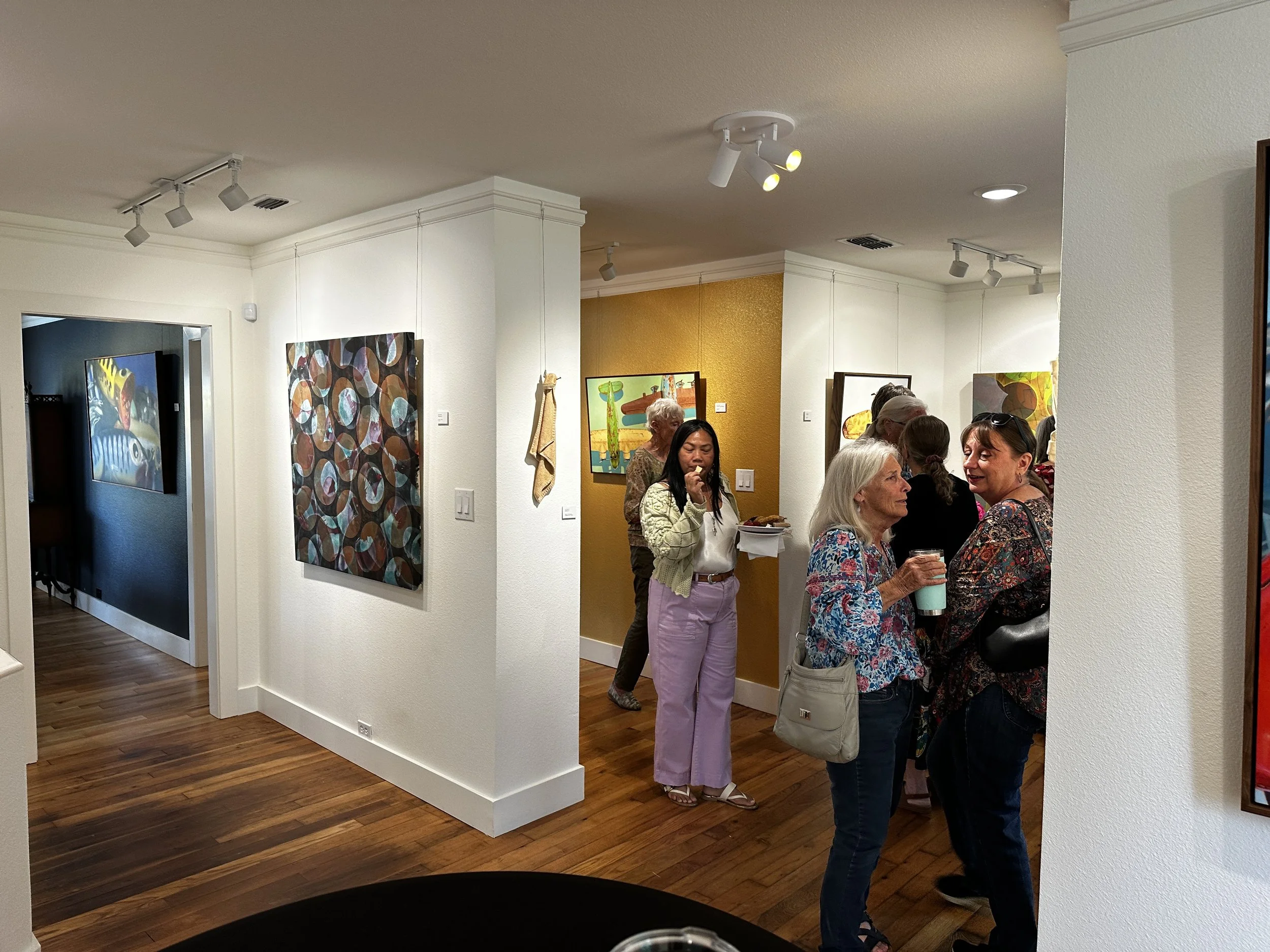 Opening of gallery show, Double Vision at 505 Gallery