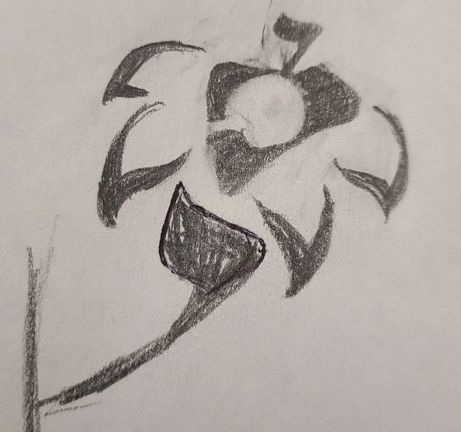 Revision Sketche 1