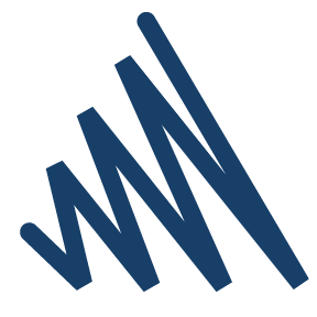 Stylized logo with overlapping blue lines forming the letters 'WYN'.