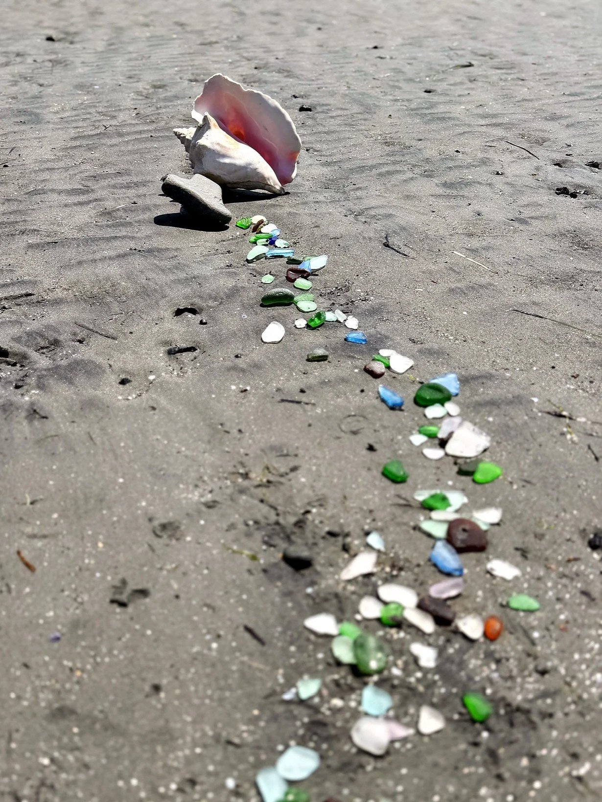 Colorful pieces of broken glass and a large seashell on a sandy beach.