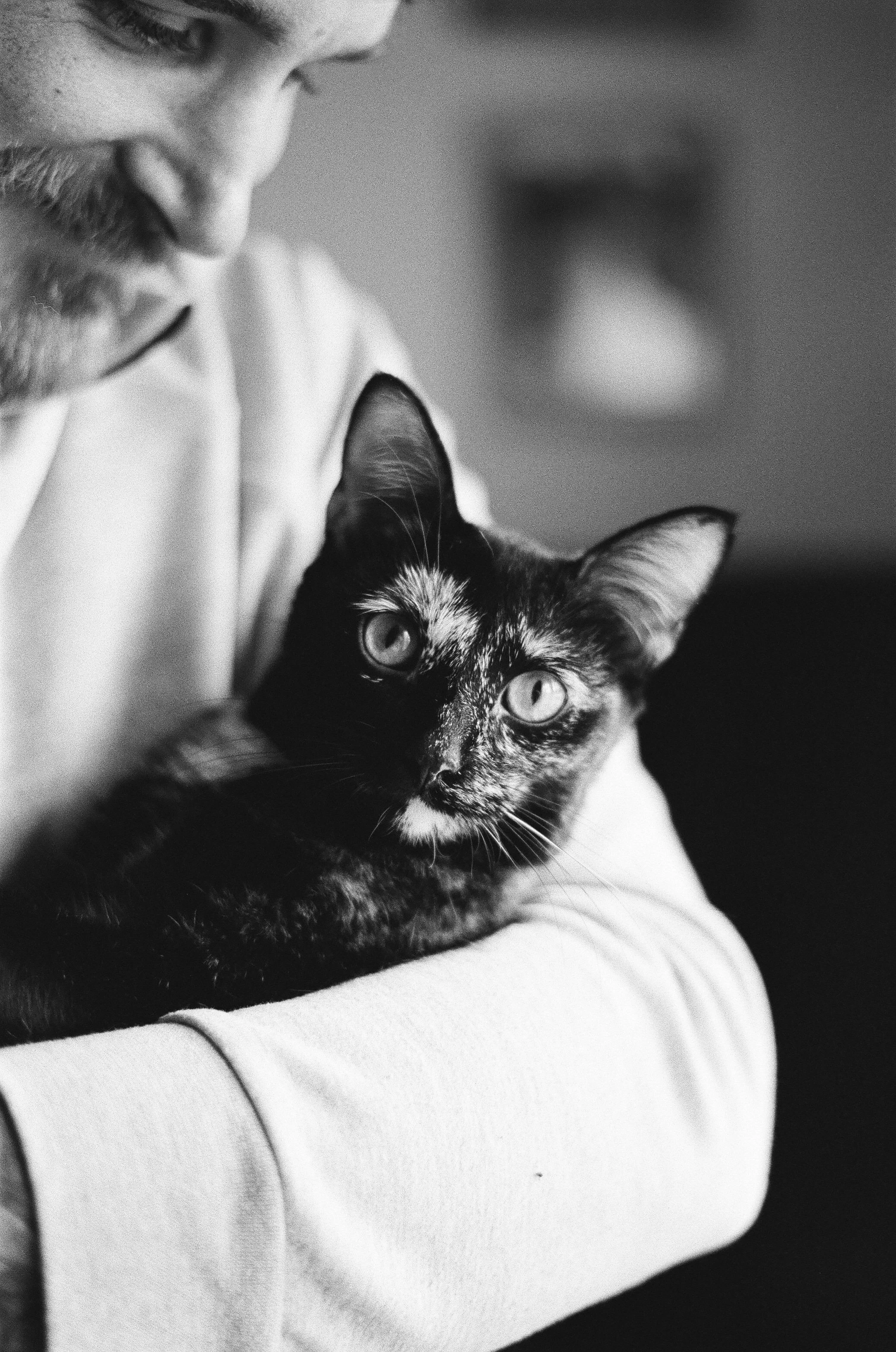 A man with a beard holding a tortoiseshell cat in his arms, both looking attentively at something off-camera.
