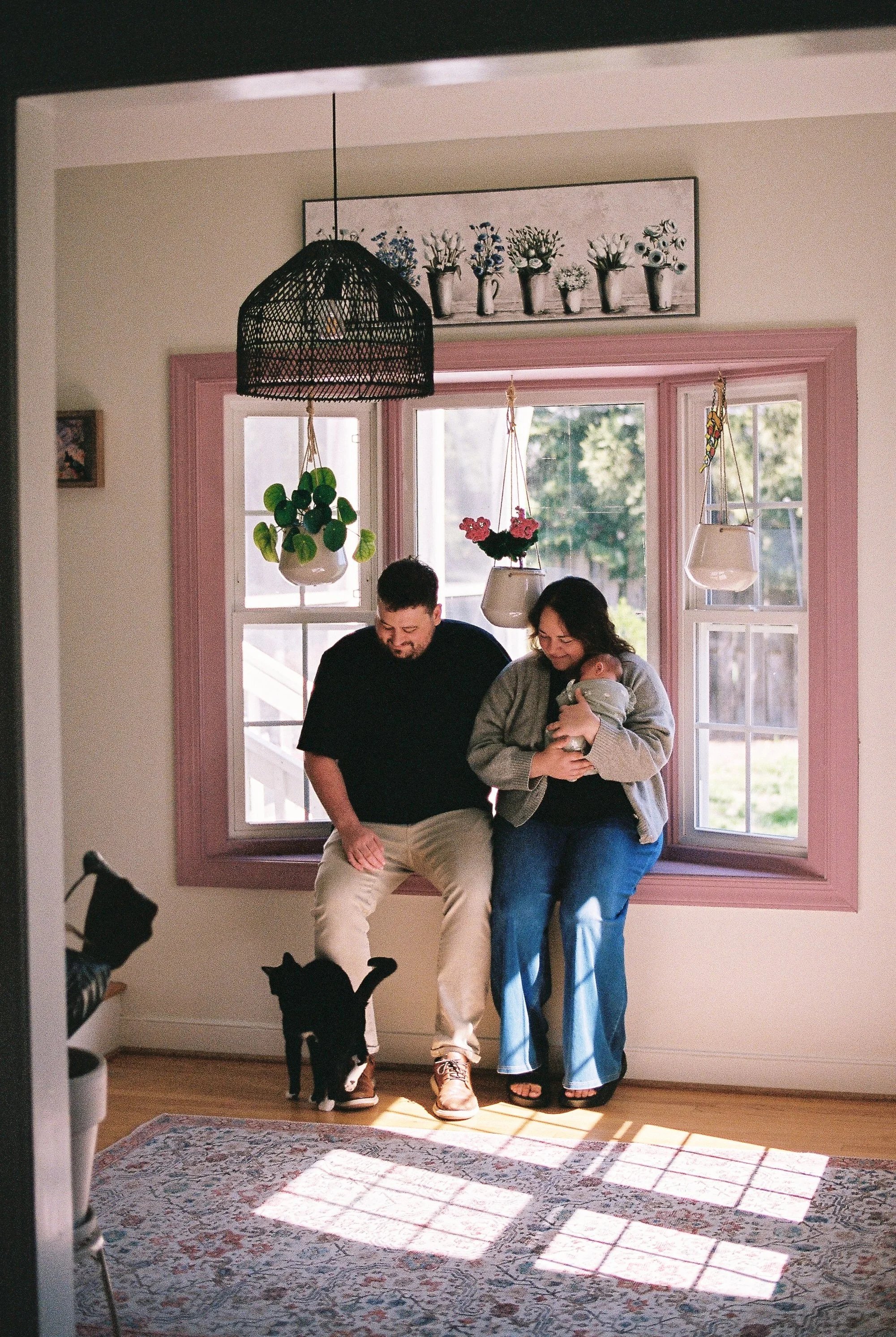 A couple sitting on a window seat in a bright room, holding a baby, with sunlight streaming in and casting shadows on a patterned rug, while two cats look up at them from the floor.