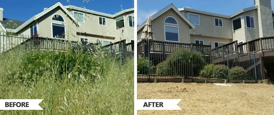 Comparison of a backyard before and after lawn care; overgrown grassy yard in the 'before' image and trimmed, cleared yard in the 'after' image, with a house and deck in the background.