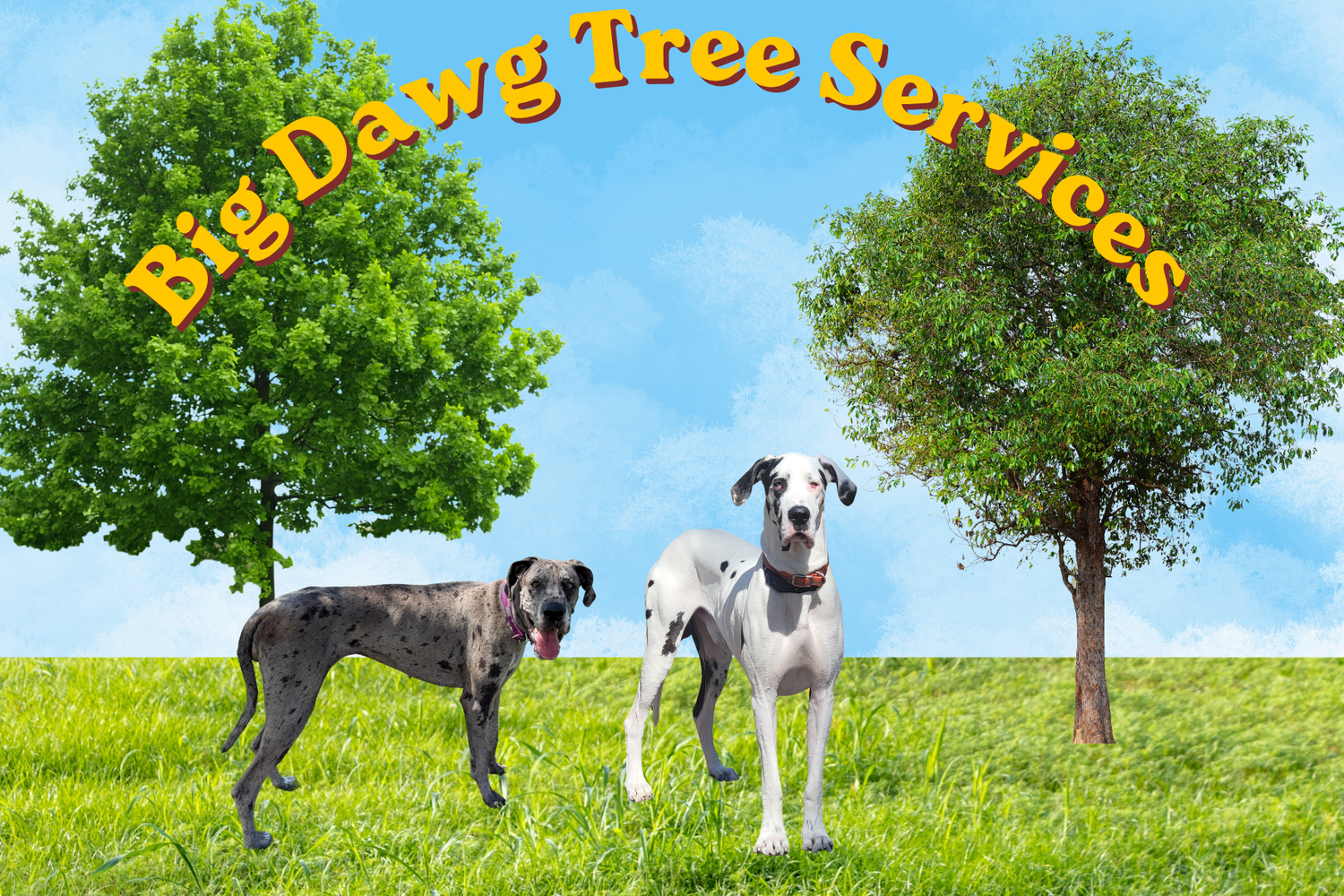 Big Dawg Tree Services 