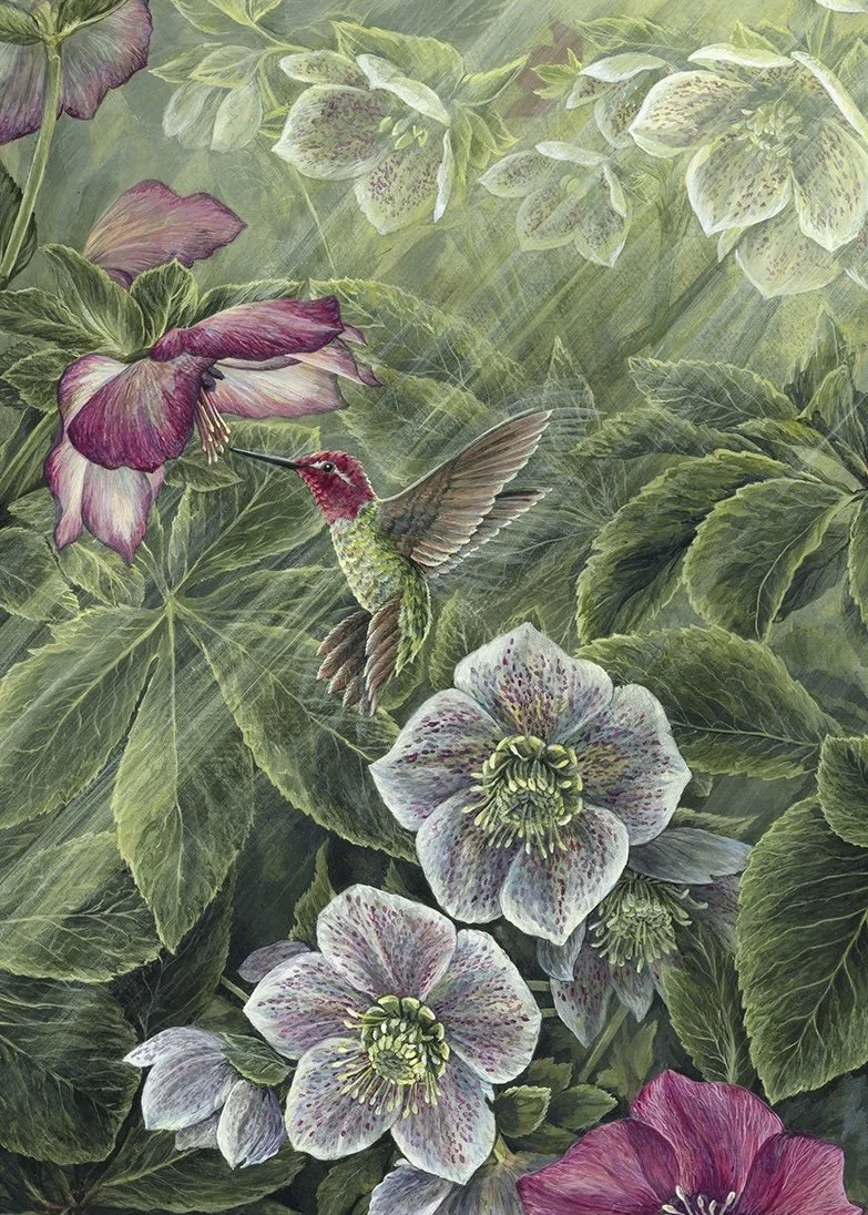Winter Rose Print - Hummingbird 1 Detail