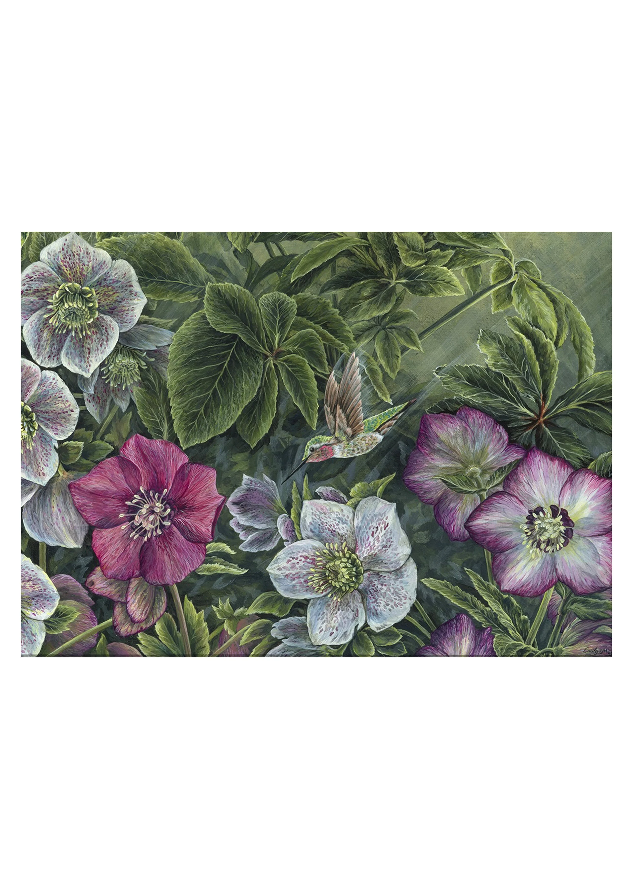 Winter Rose Print - Hummingbird 2 Horizontal Detail