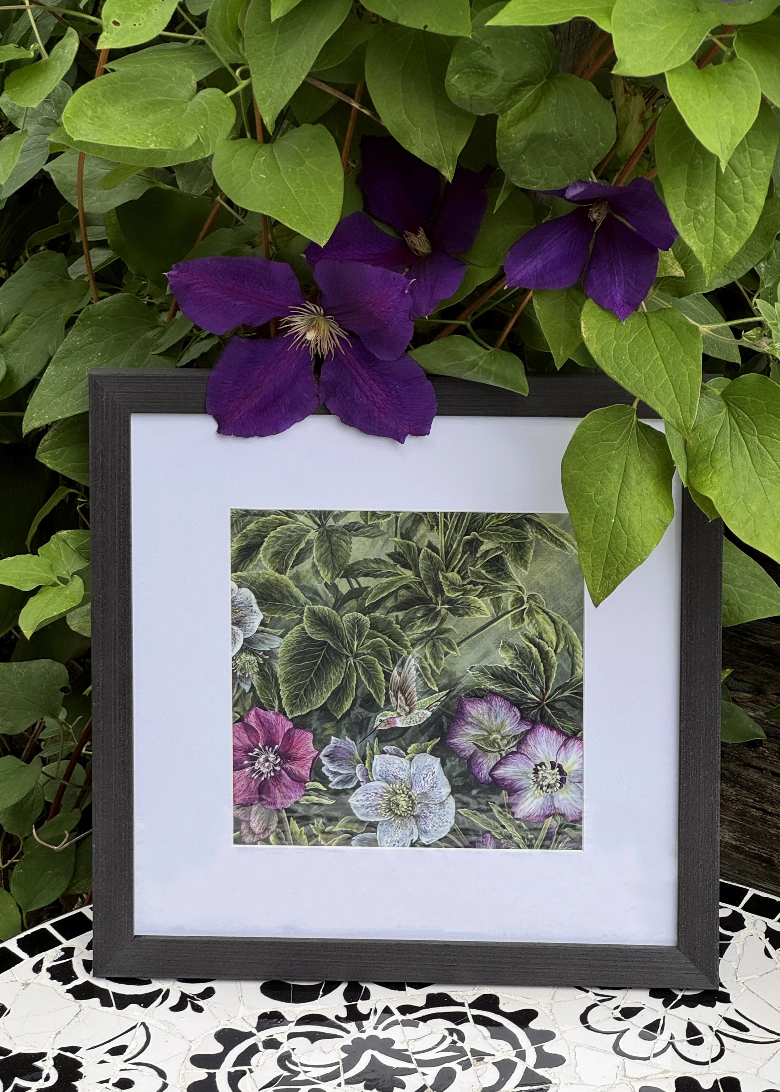 Square Frame Winter Rose Hummingbird 2 clematis photo copy.jpg