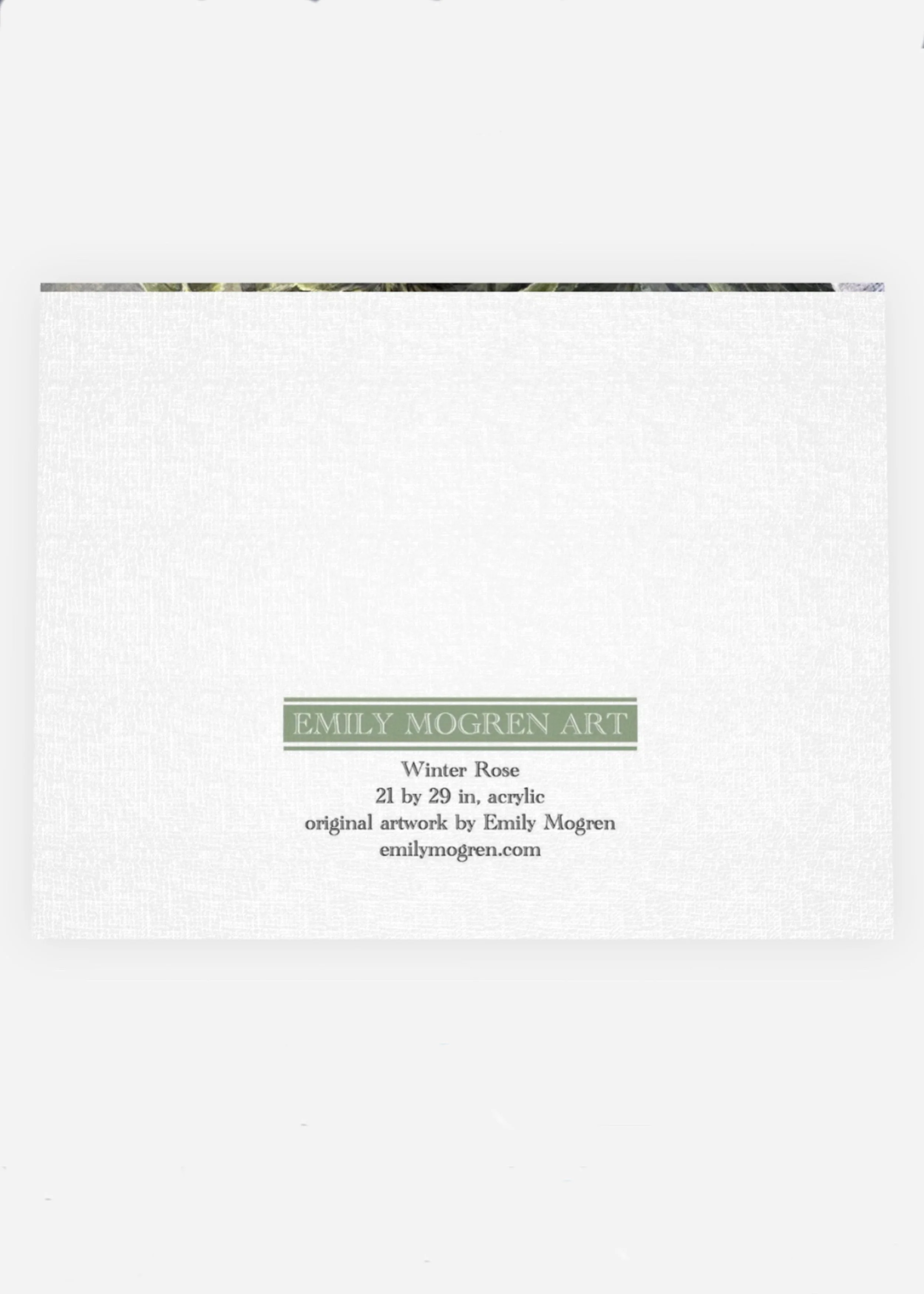 Hummingbird 2 card back copy.jpg