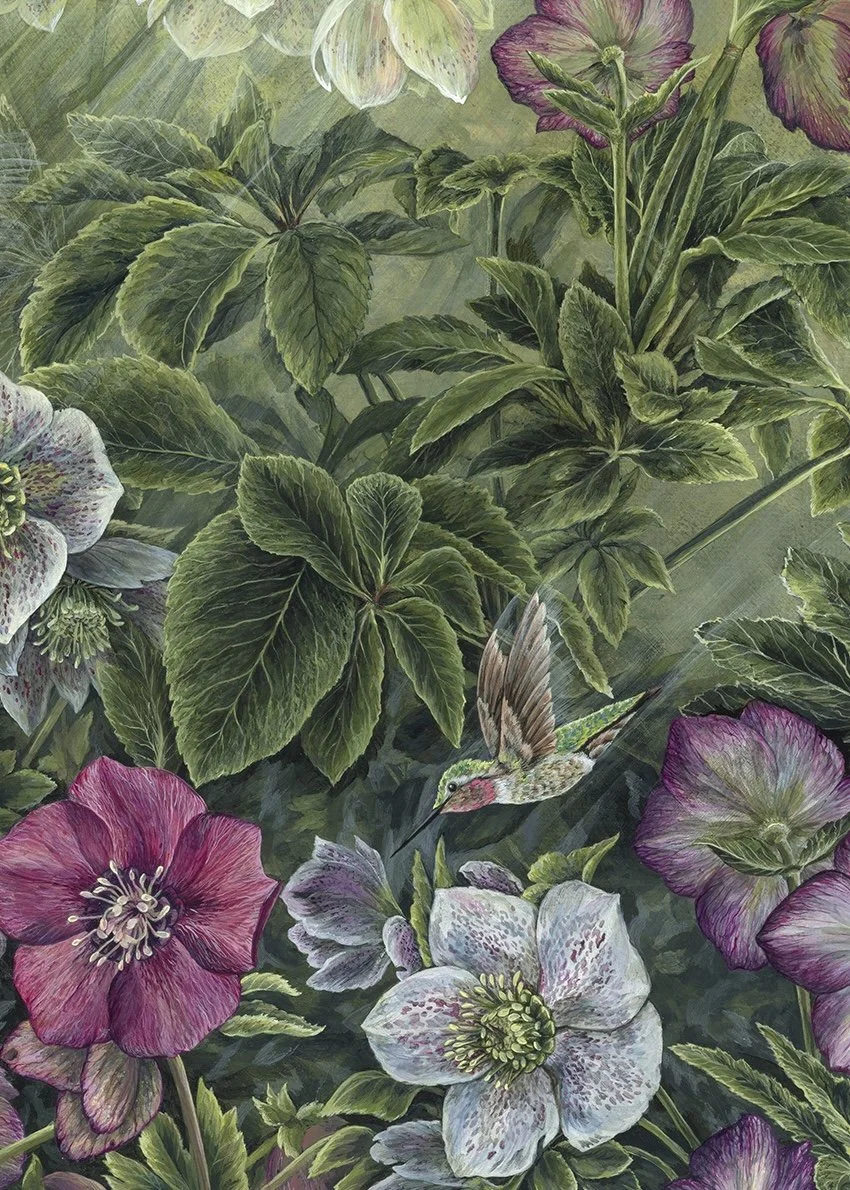 Winter Rose Print - Hummingbird 2 Vertical Detail