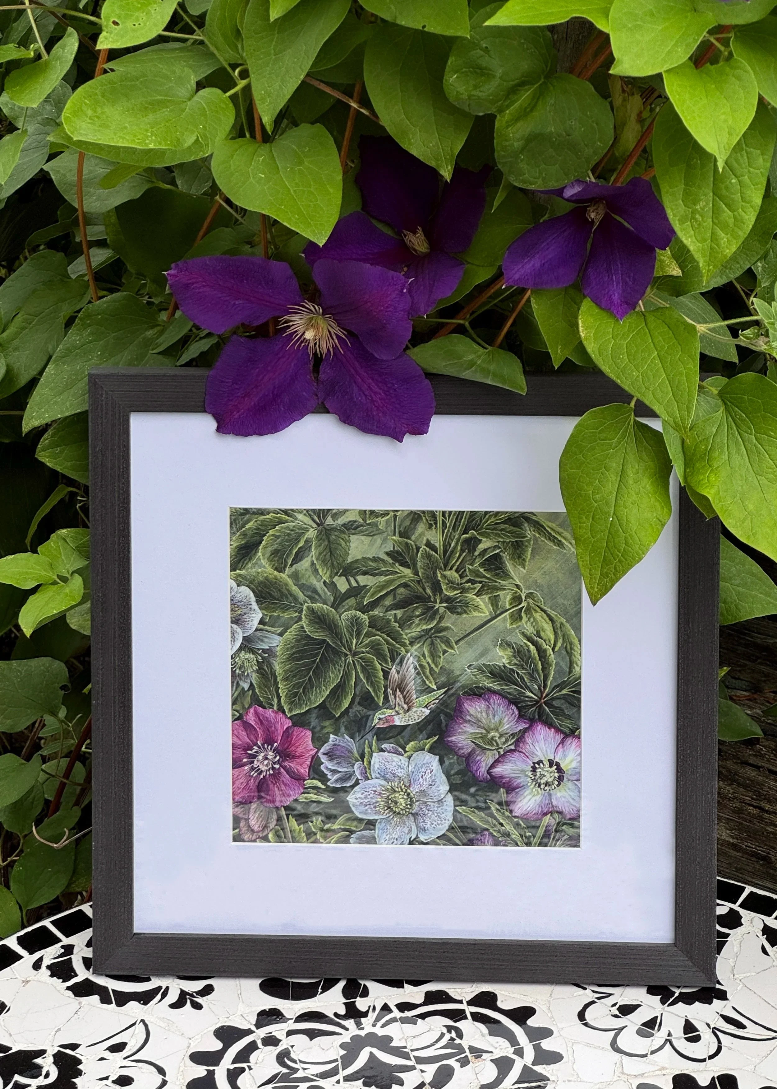 Square+Frame+Winter+Rose+Hummingbird+2+clematis+photo+copy.jpg