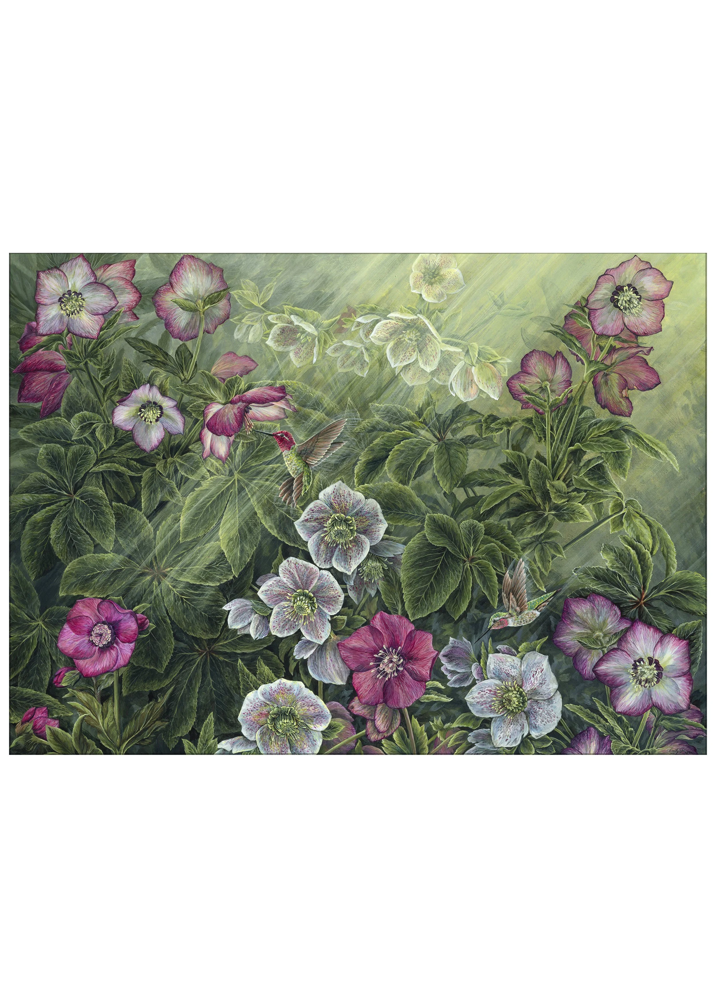 Winter Rose Print
