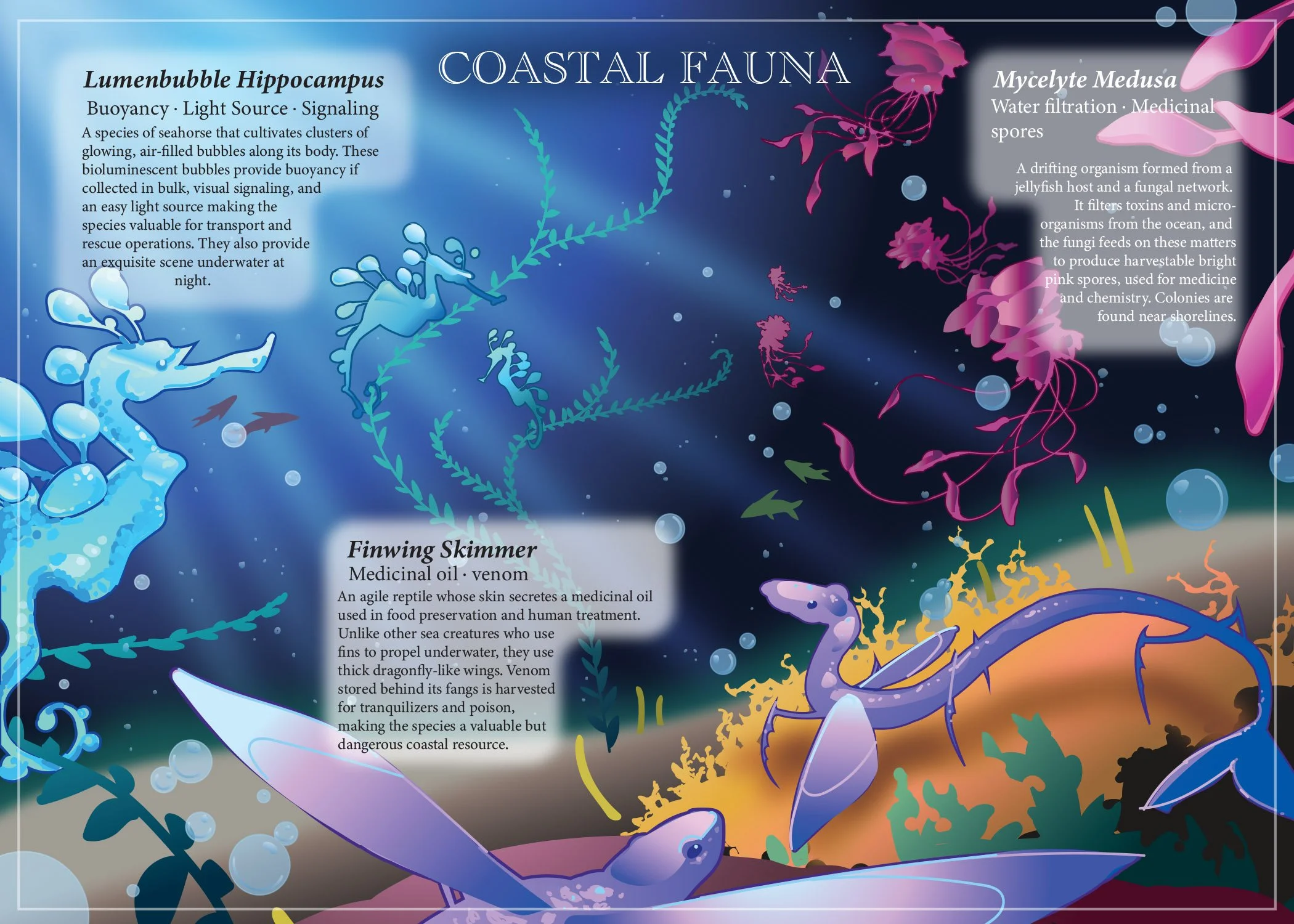 coastal fauna illustrator final.jpg