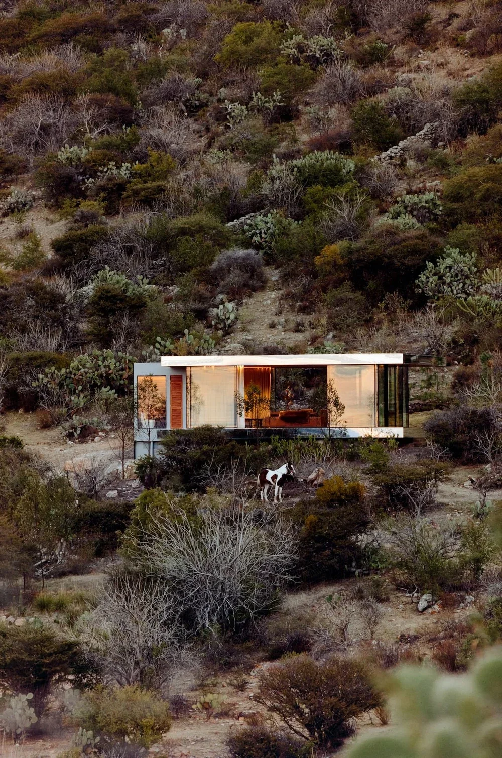  Foto cortesía de CasitaMX 